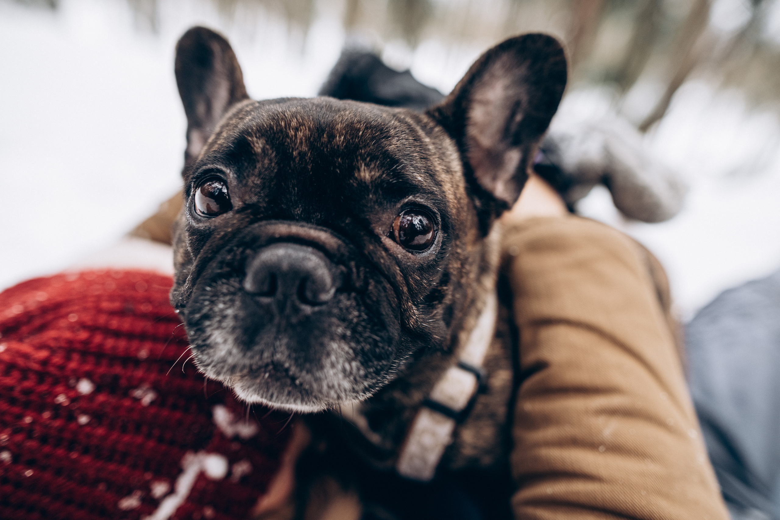 Sasha & Vika love story. Портфолио