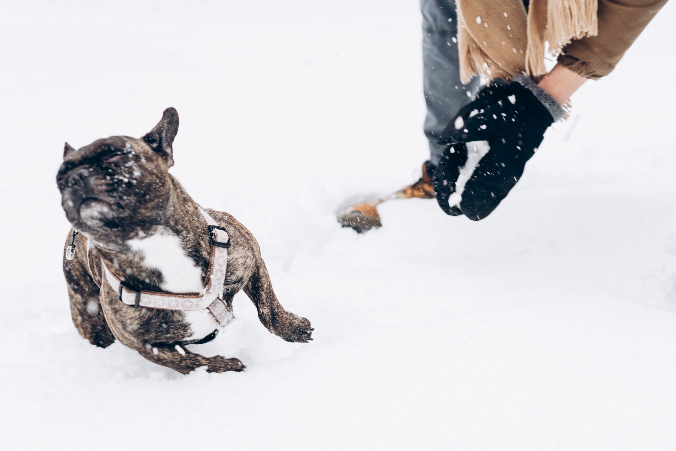 Sasha & Vika love story. Портфолио