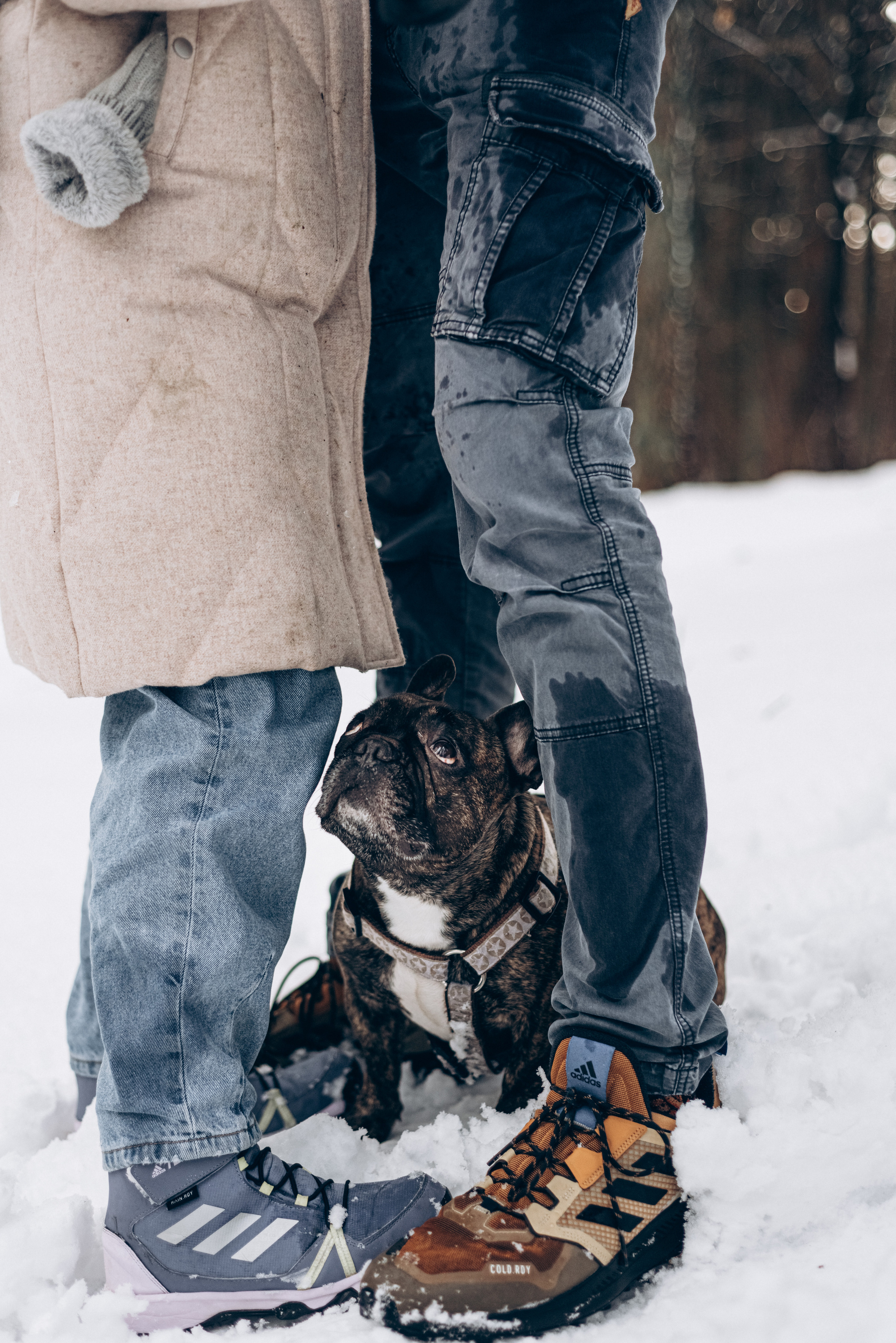 Sasha & Vika love story. Портфолио