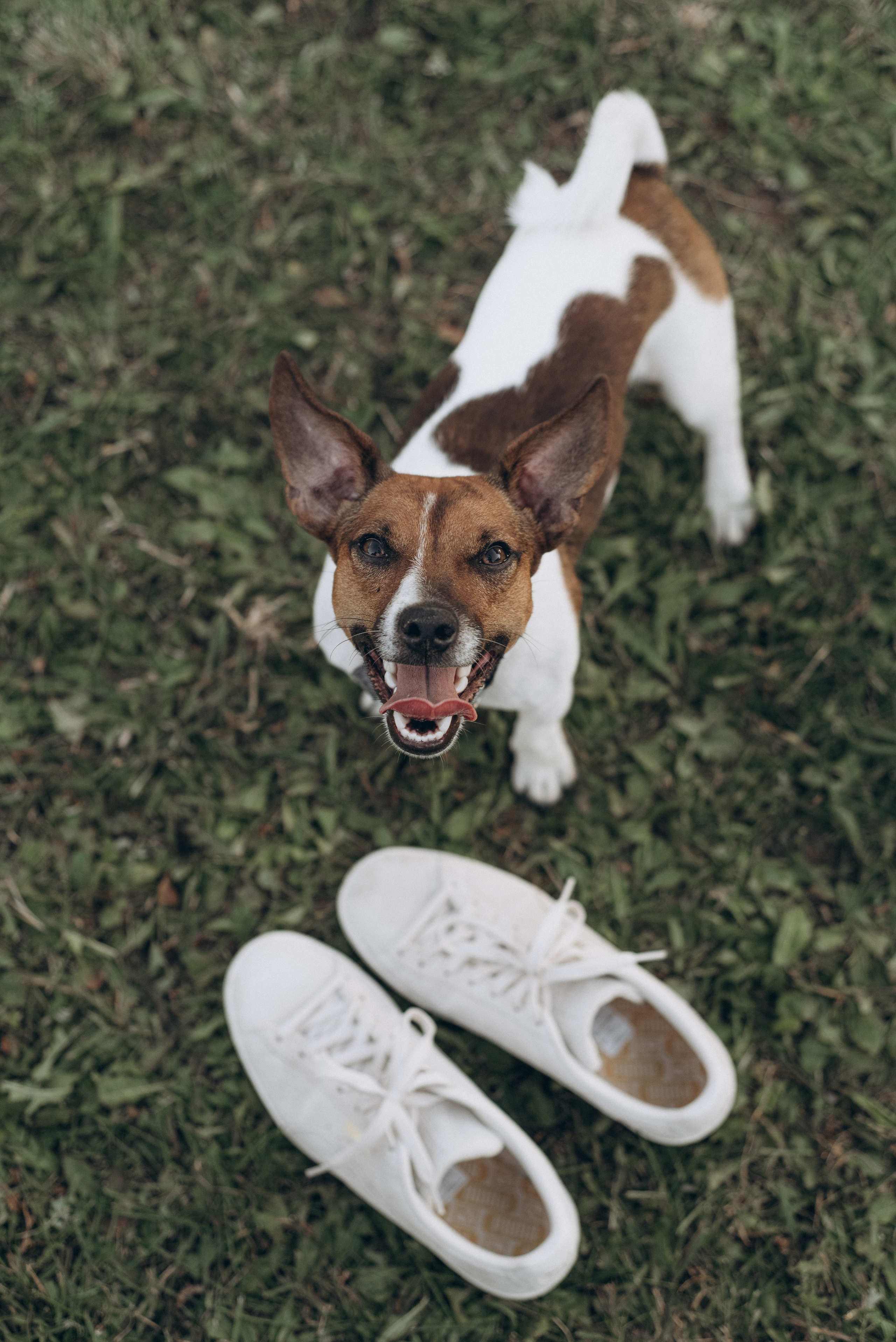 Andrey & Tanya wedding. Фотографы Минск и мир