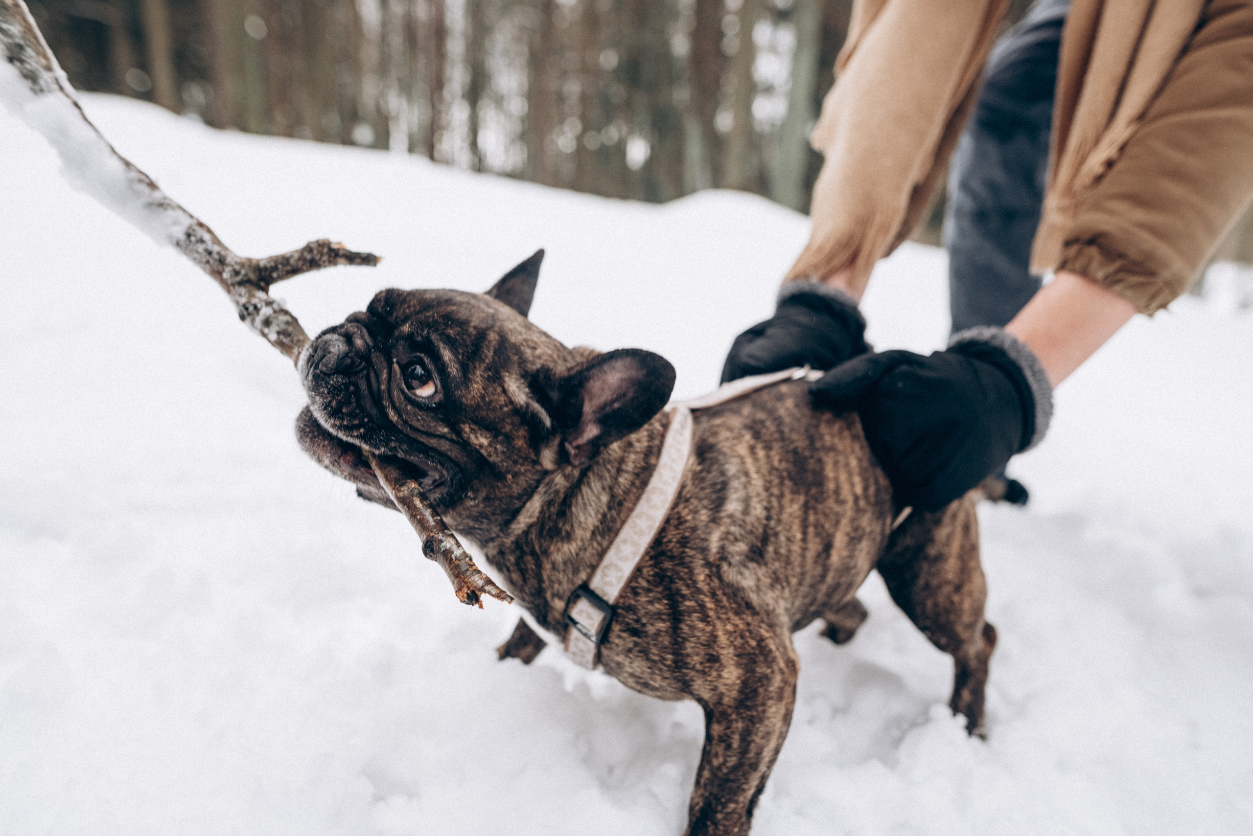 Sasha & Vika love story. Портфолио