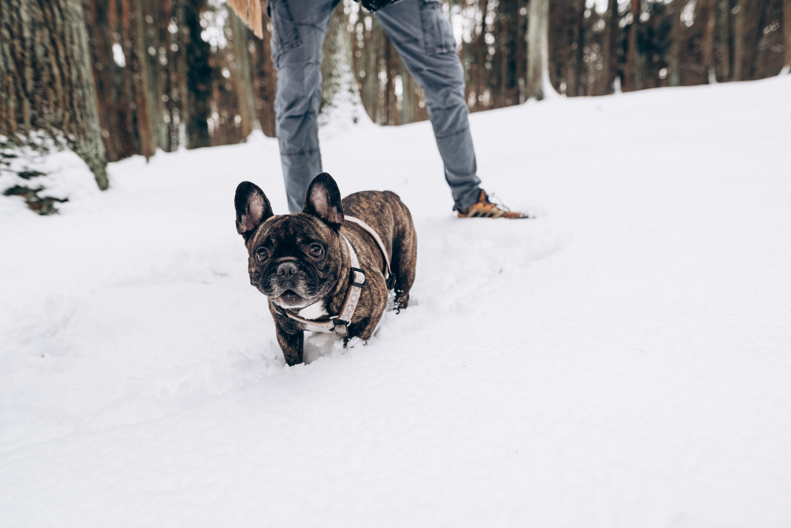 Sasha & Vika love story. Портфолио