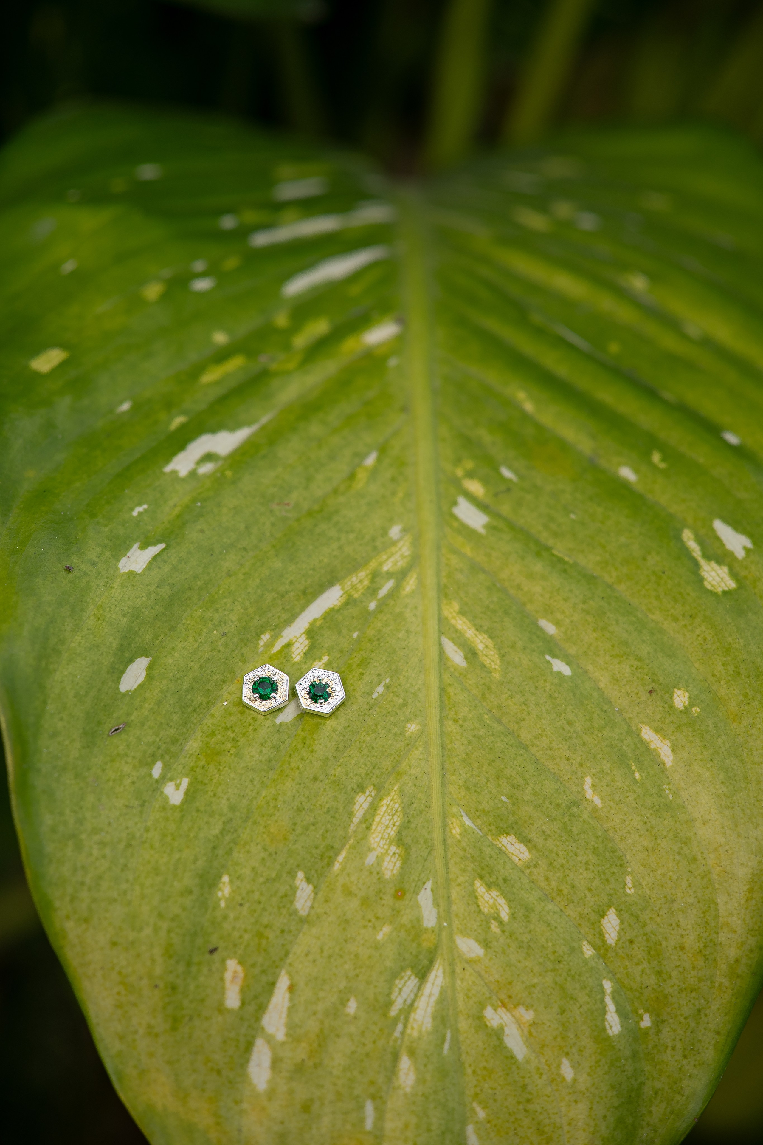 Larissia e Samuel. Larissareisfotografa