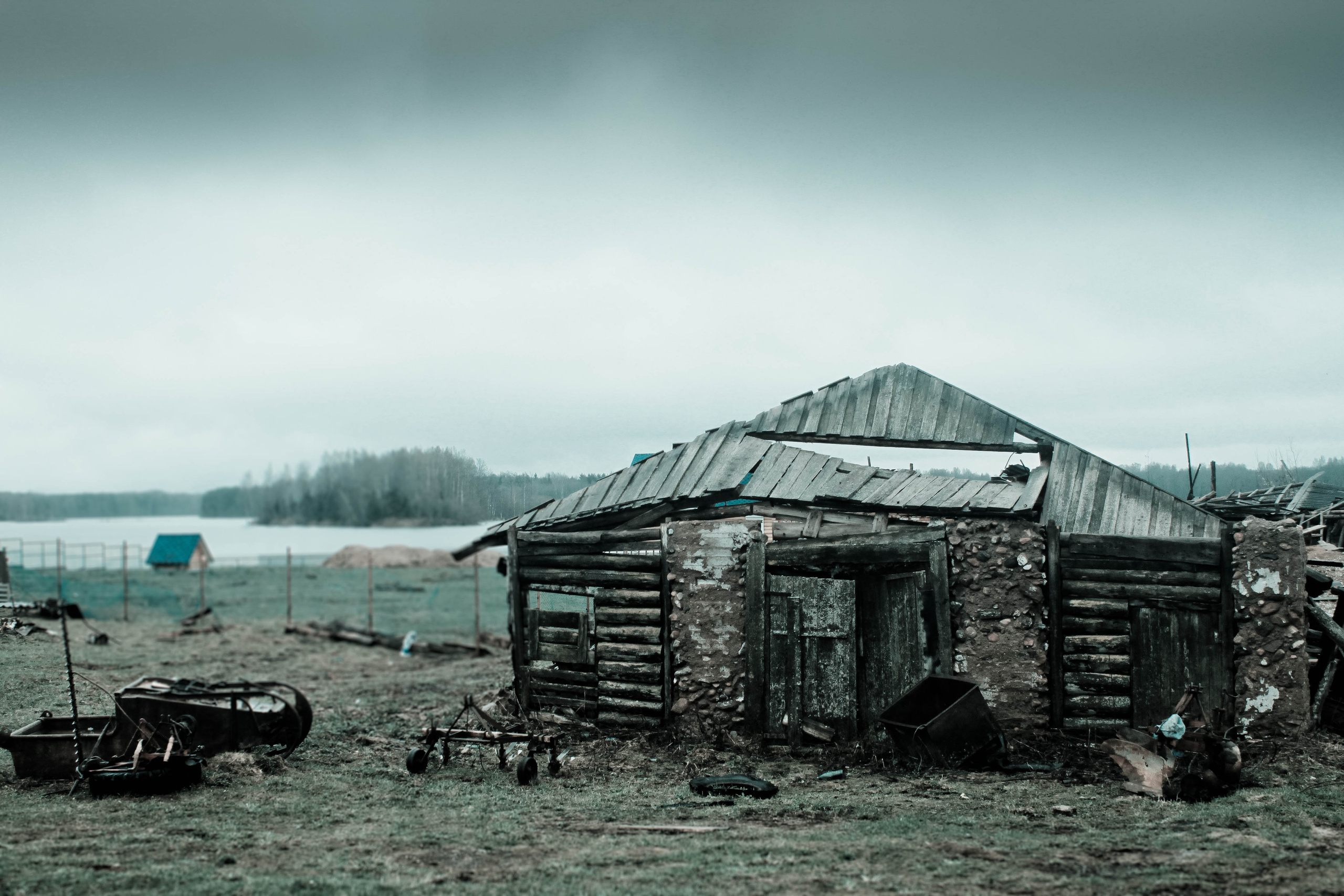 2011. Стрит-фотография, полная абсурда, идиотизма и красоты