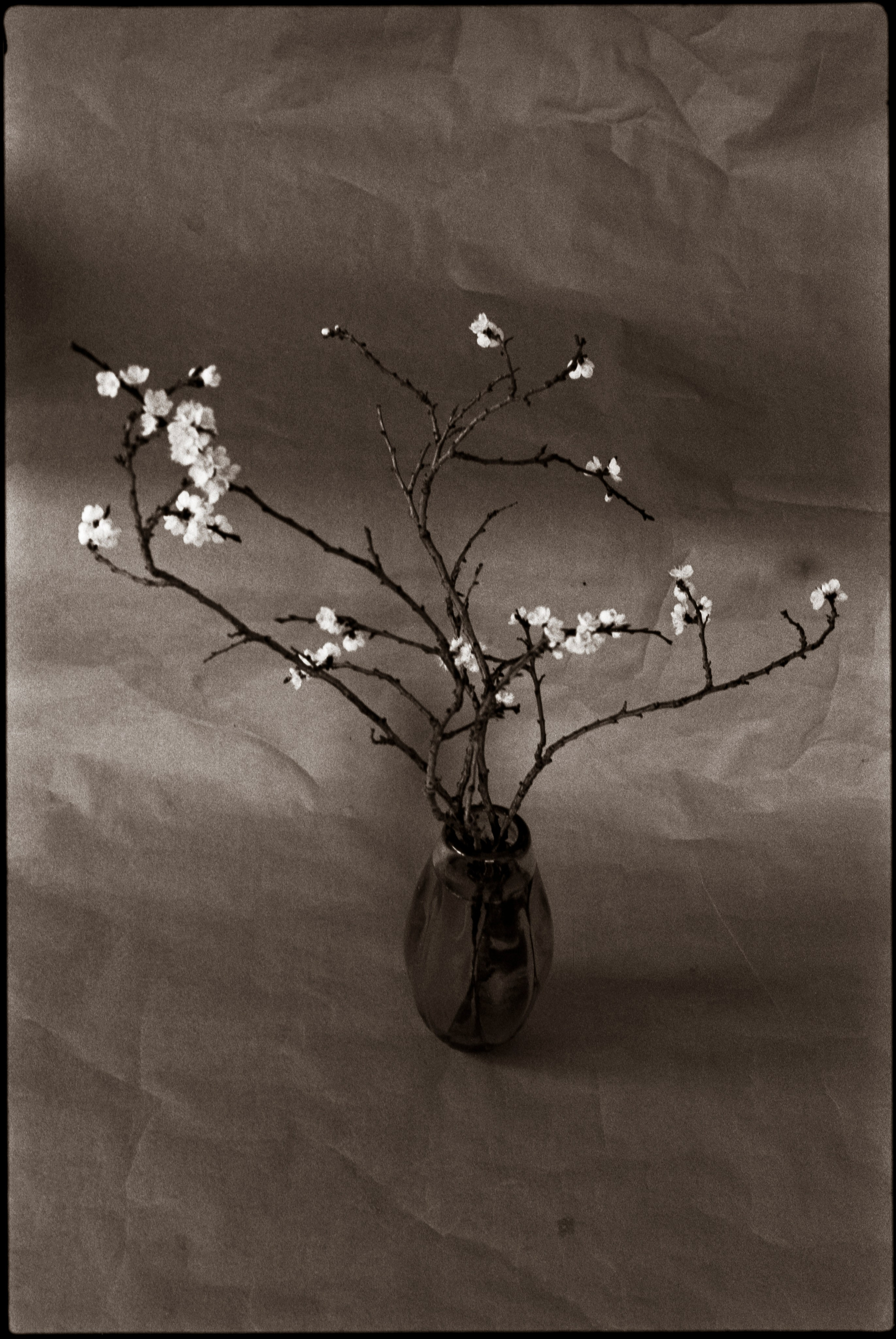 Composition. Www.sananaleskerov.com