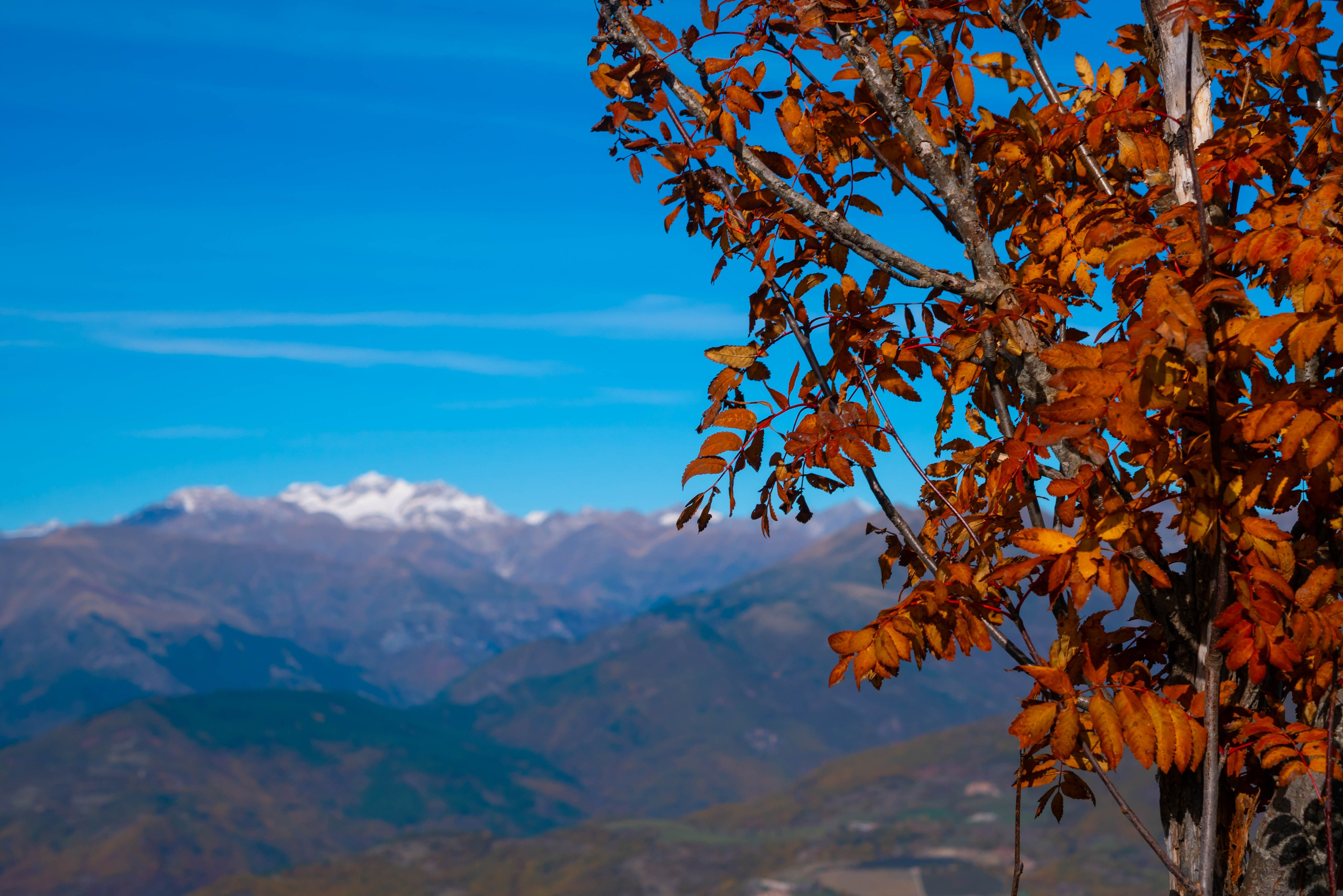Ruta Otoño. Alba del Norte Studio