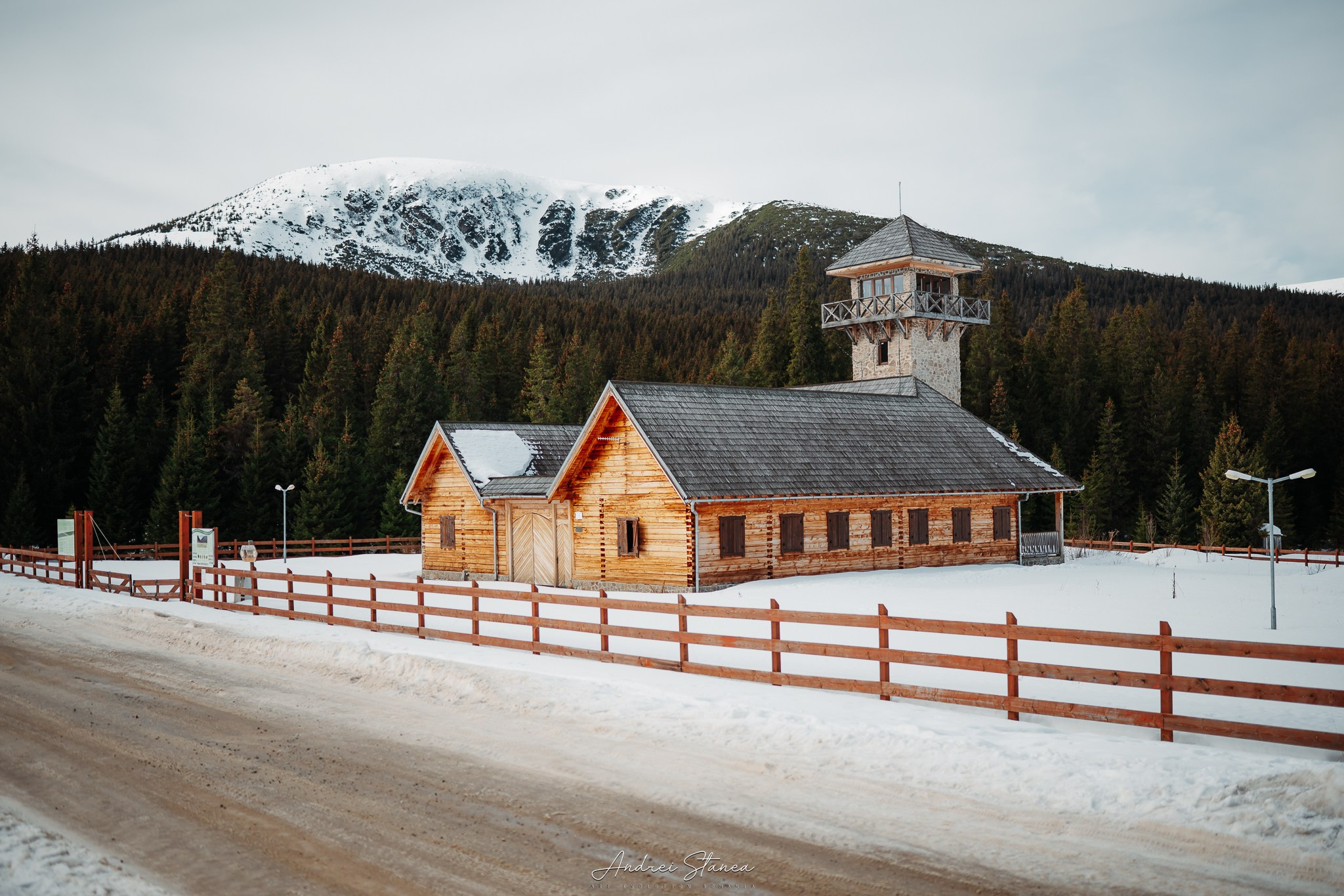 Madalina & Mihai. Andrei Stanea