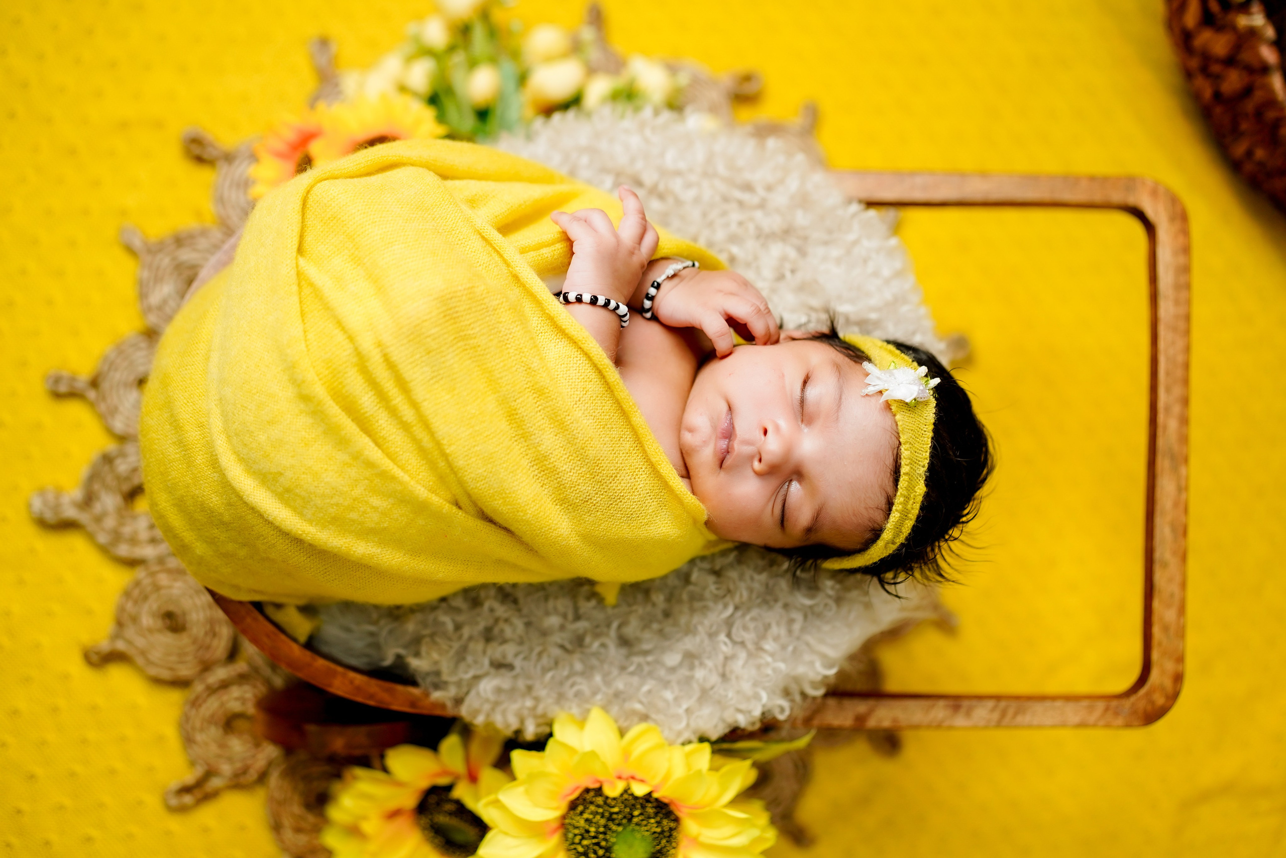 New born. TNF photo & filming