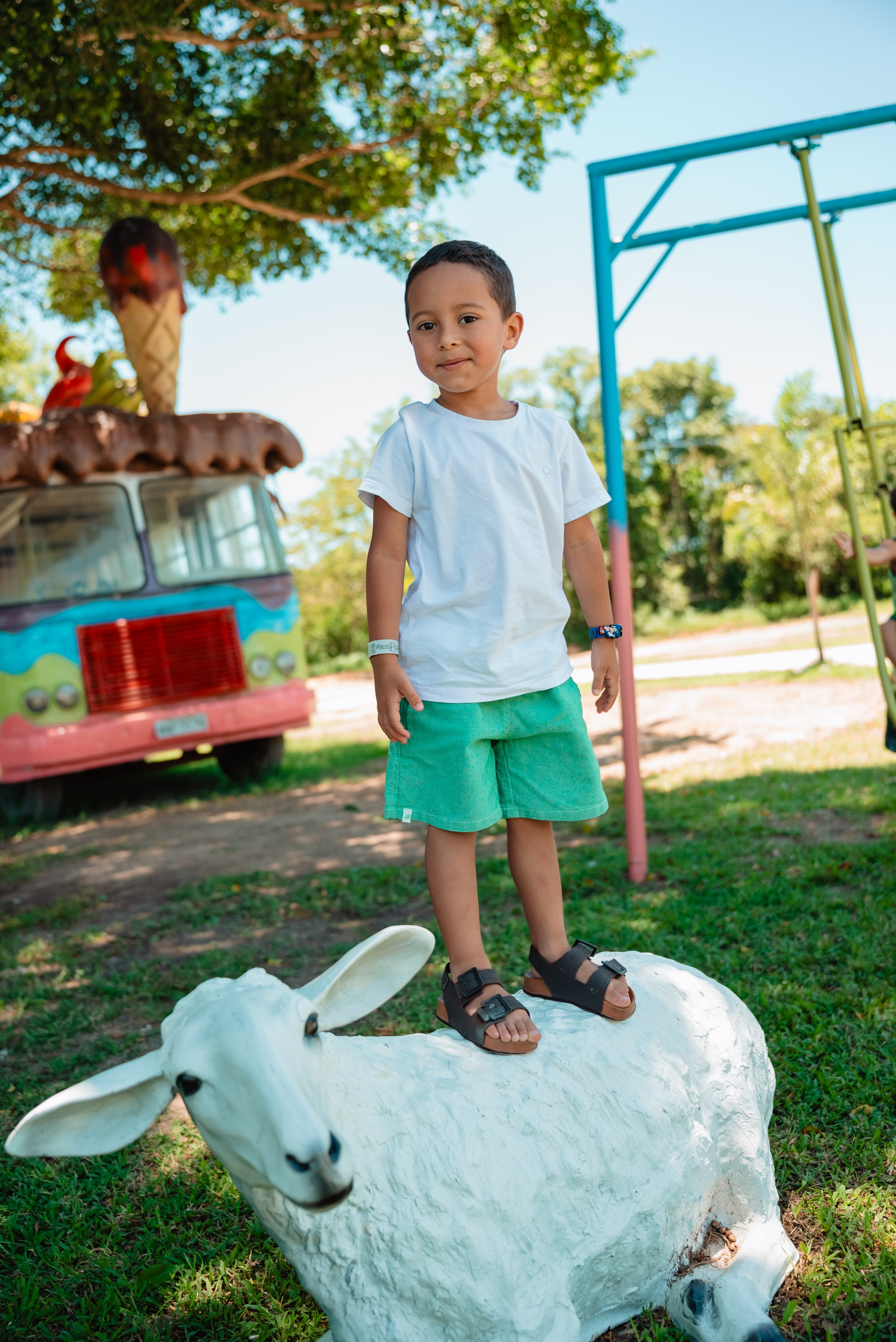 OS 5 anos da Bianca. Fotografo de casamentos e famílias no Espirito Santo — Marllus Milanez