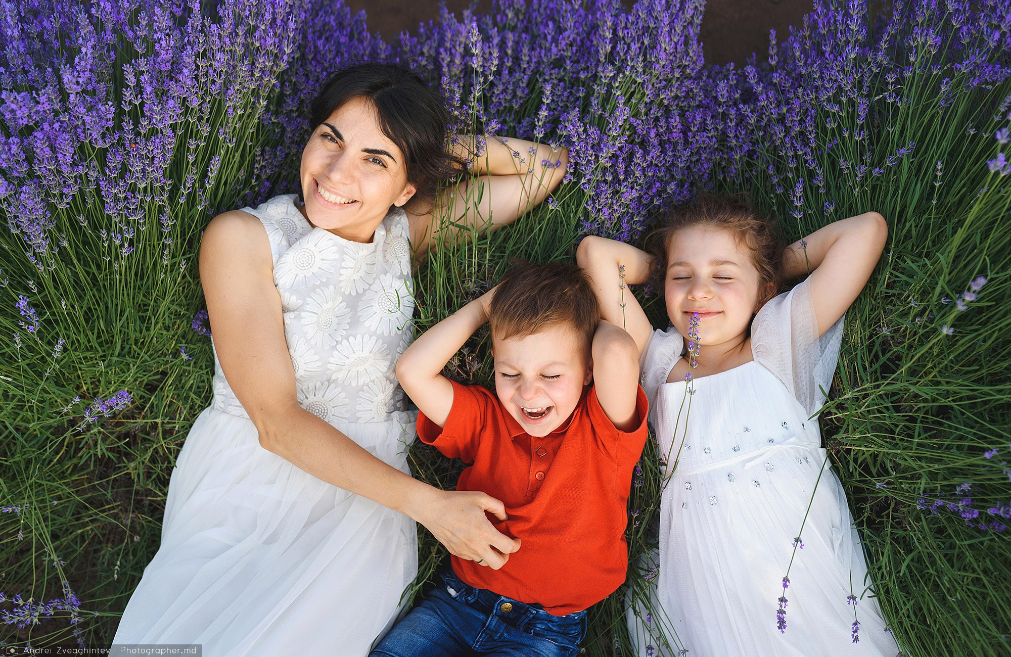 Family photosession in lavender in Moldova — family and wedding photographer Andrei Zveaghintev. Wedding and family photographer in Moldova, Chisinau— Andrei Zveaghintev