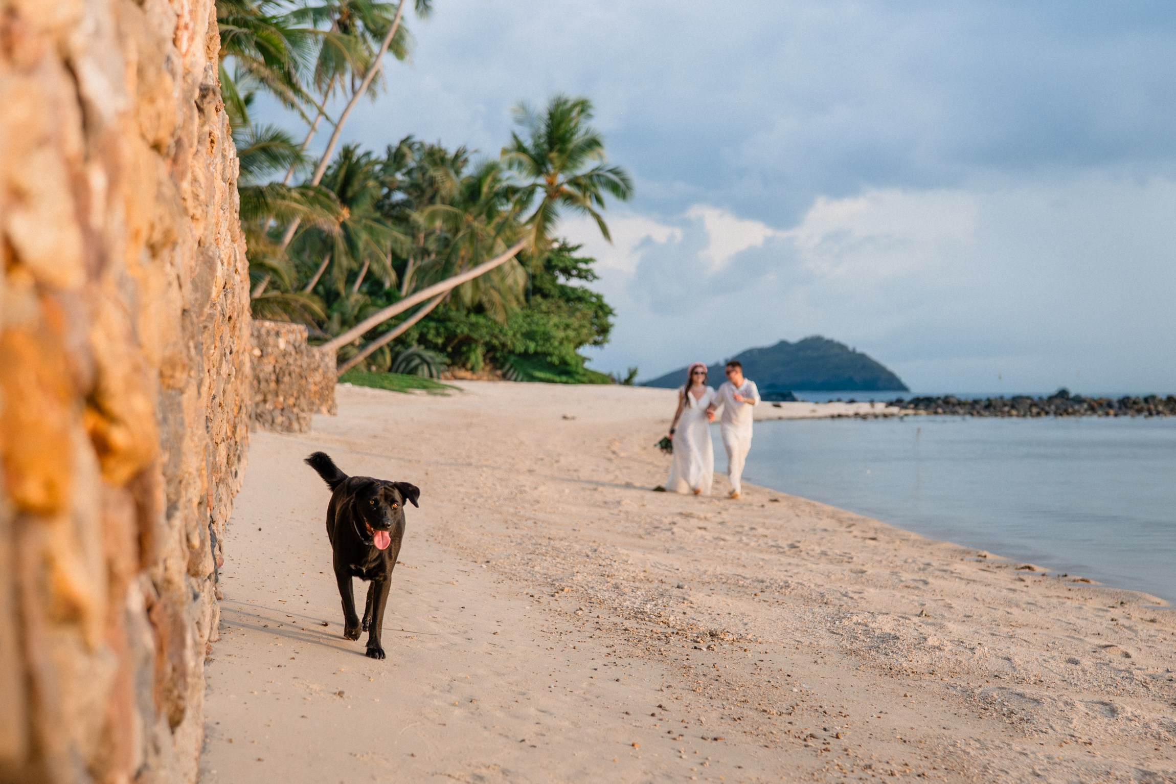 Maria and Vitalii. Wedding on Koh Samui, Thailand