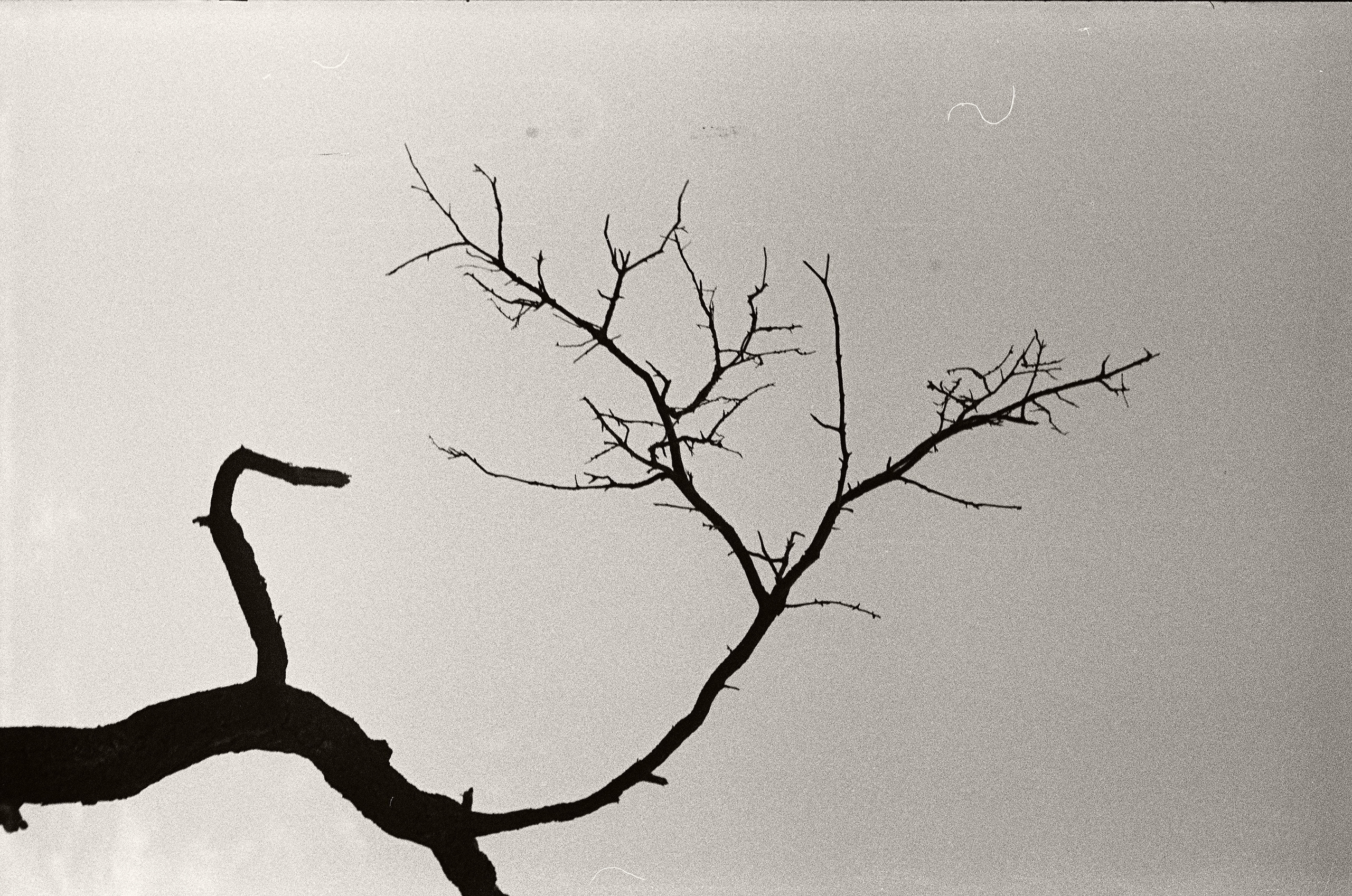 Personal Photography. Arman Milani, Brand-Focused Video Production & Content Creation, Based in Berlin