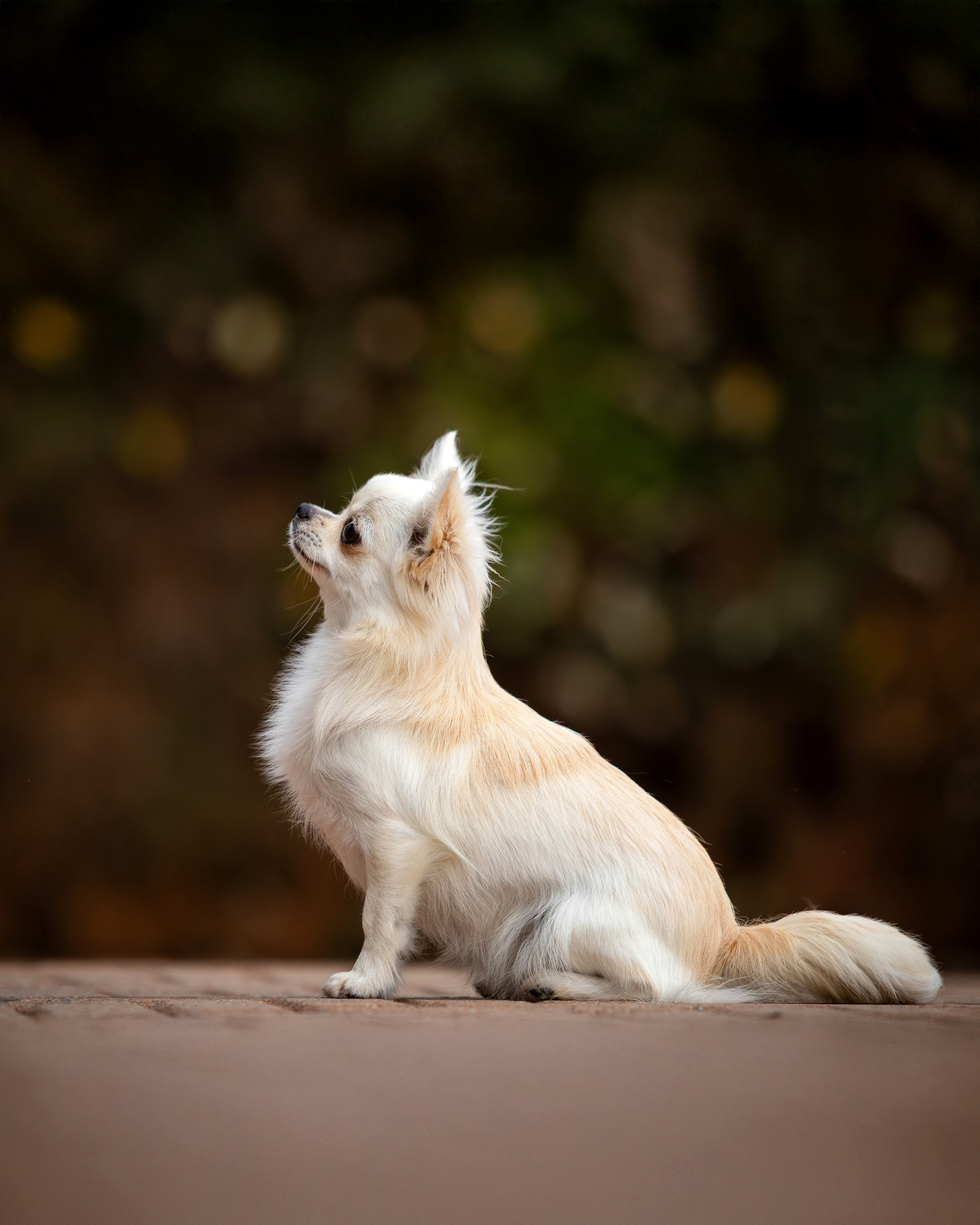 Plener. Yurii Orlyk Photography