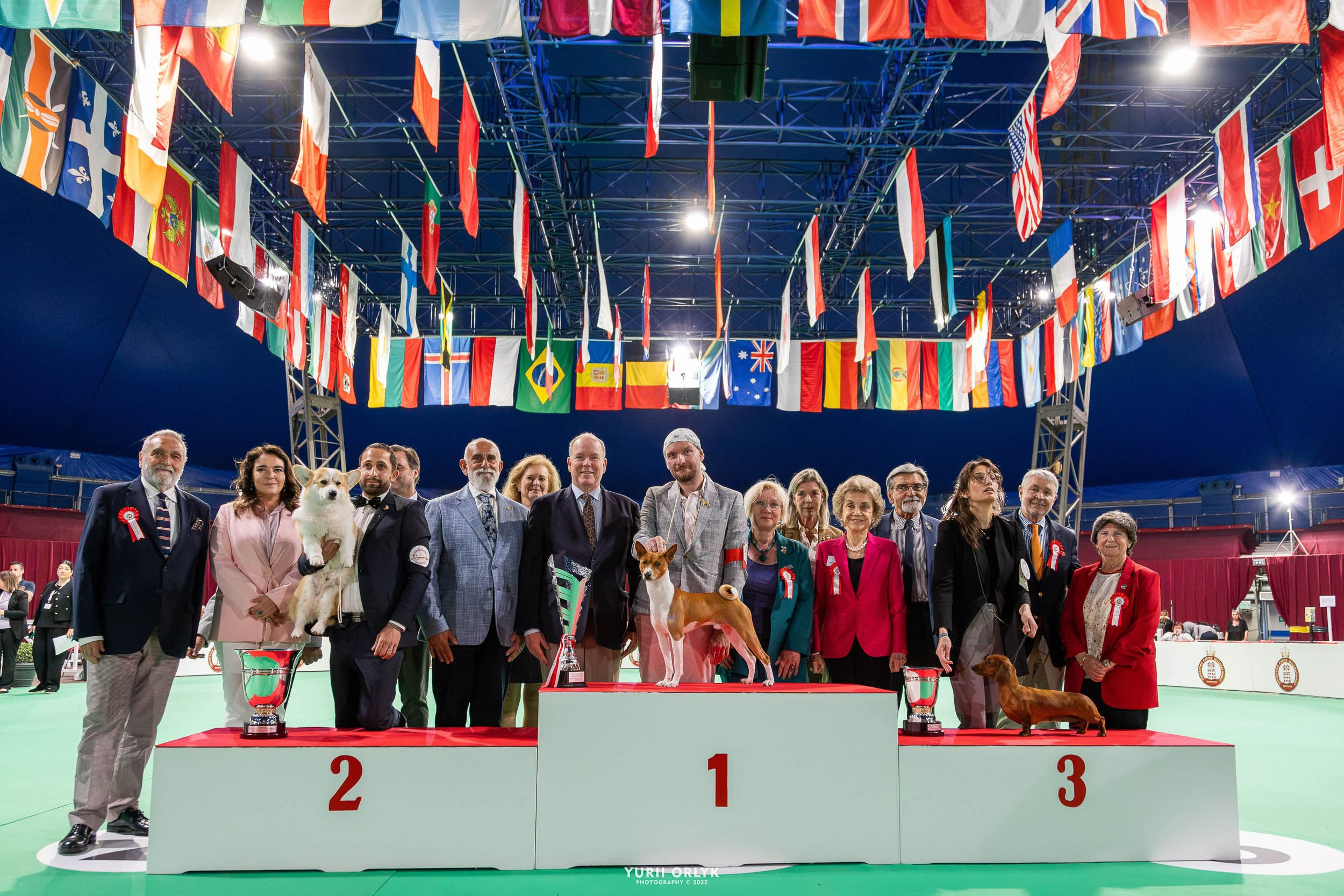 Dog Shows. Yurii Orlyk Photography