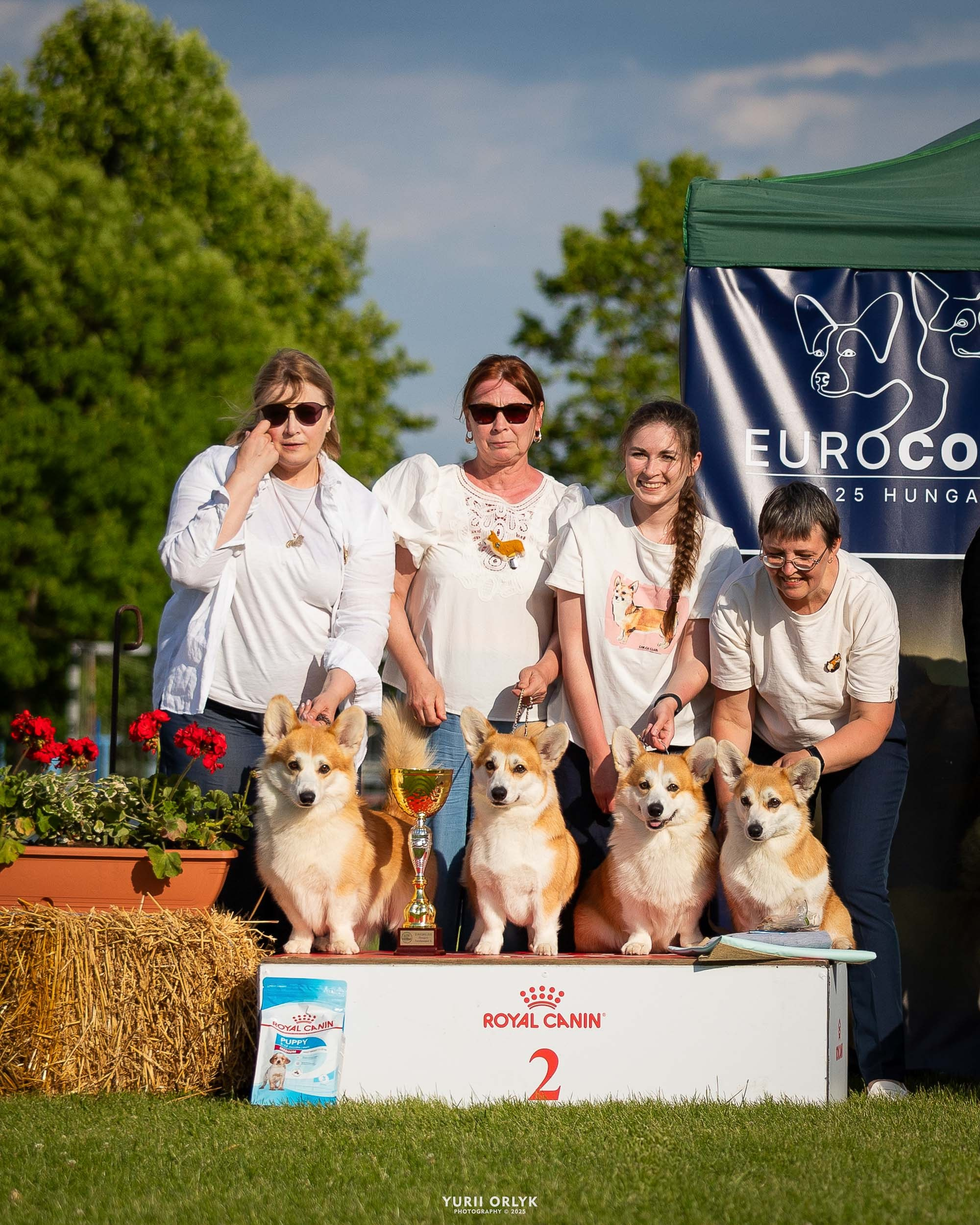 Dog Shows. Yurii Orlyk Photography