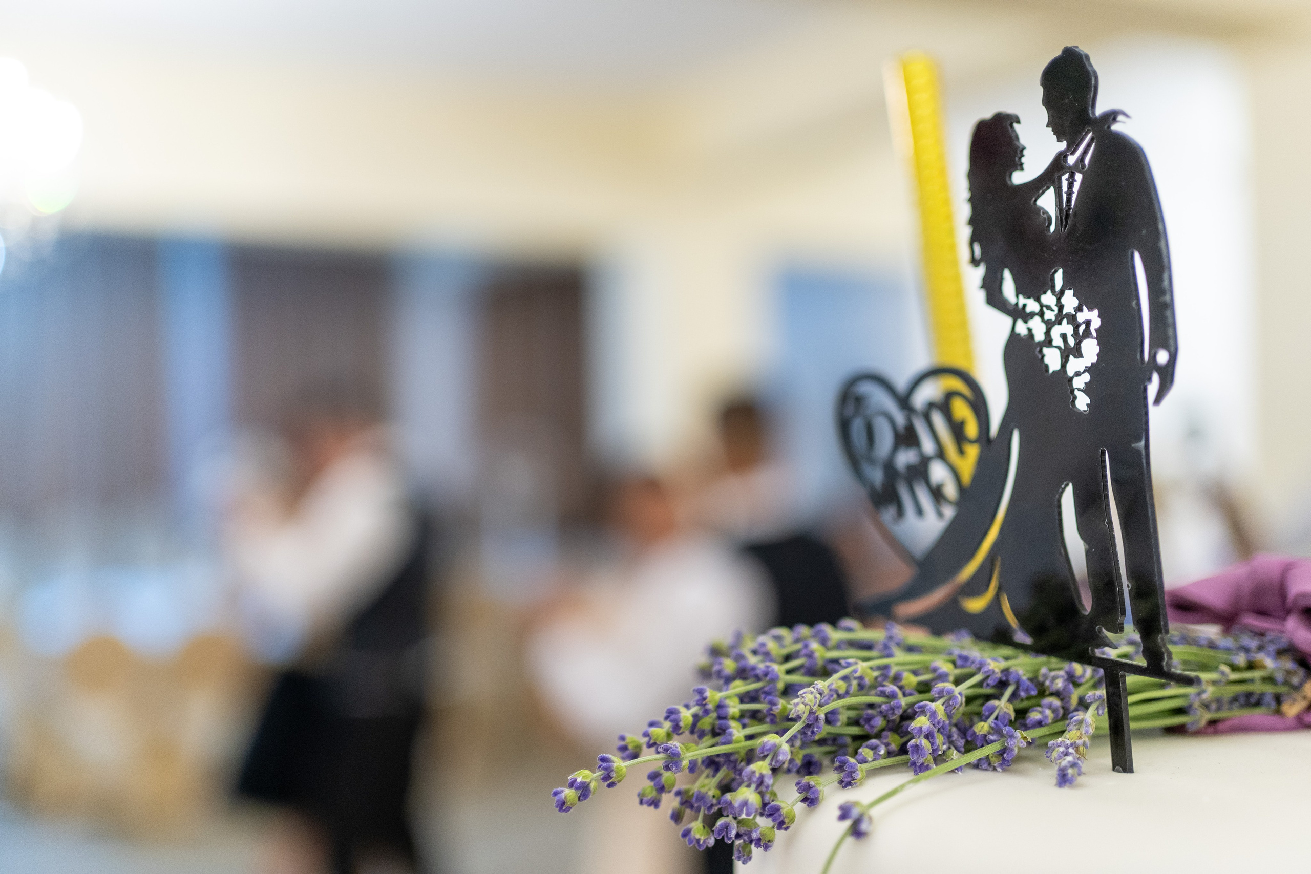 Dana & Ionut. Fotograf evenimente, fotograf nunta, fotograf botez