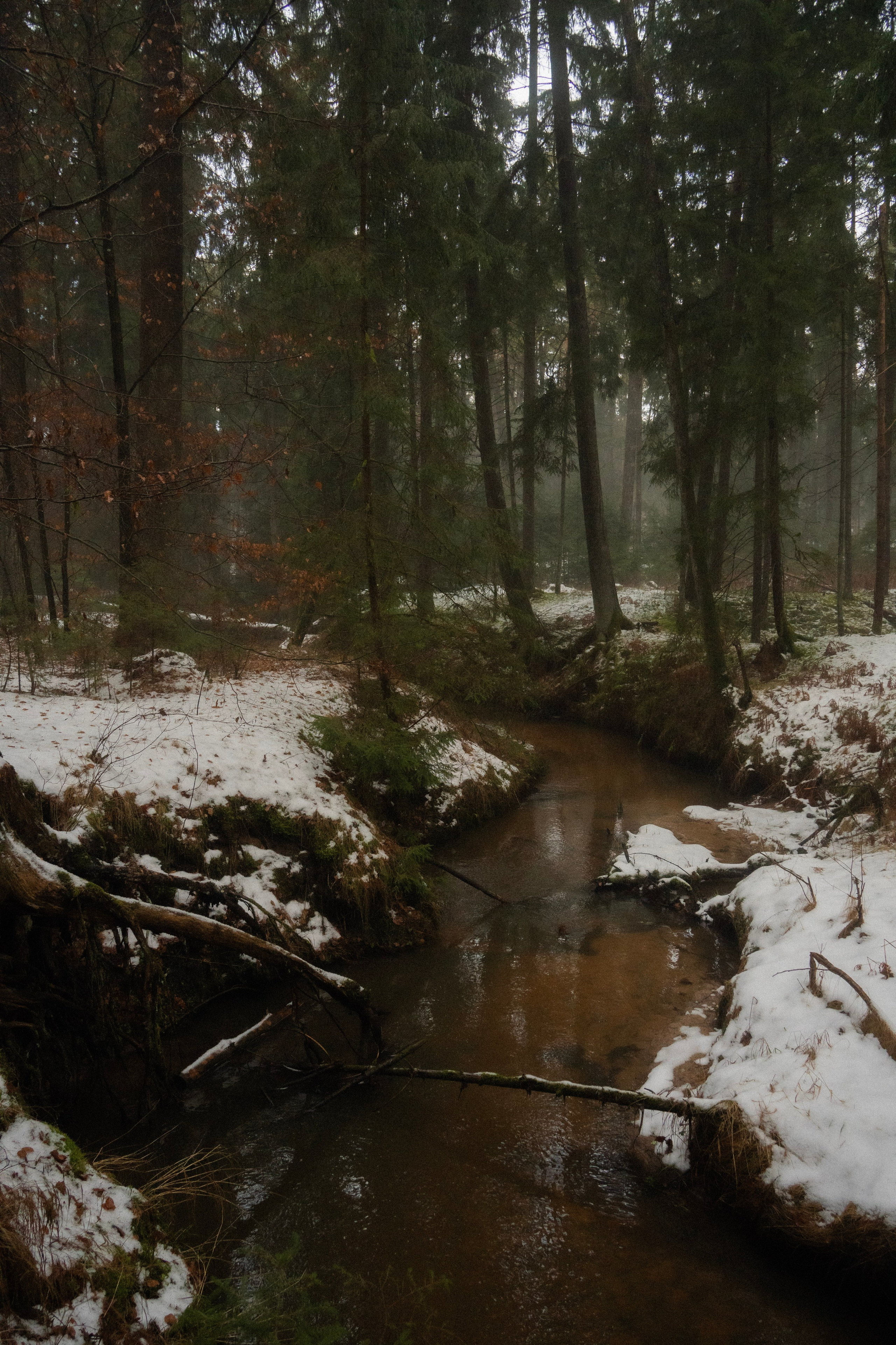 Irina and Oleg. Everwarm Photo and Video Studio