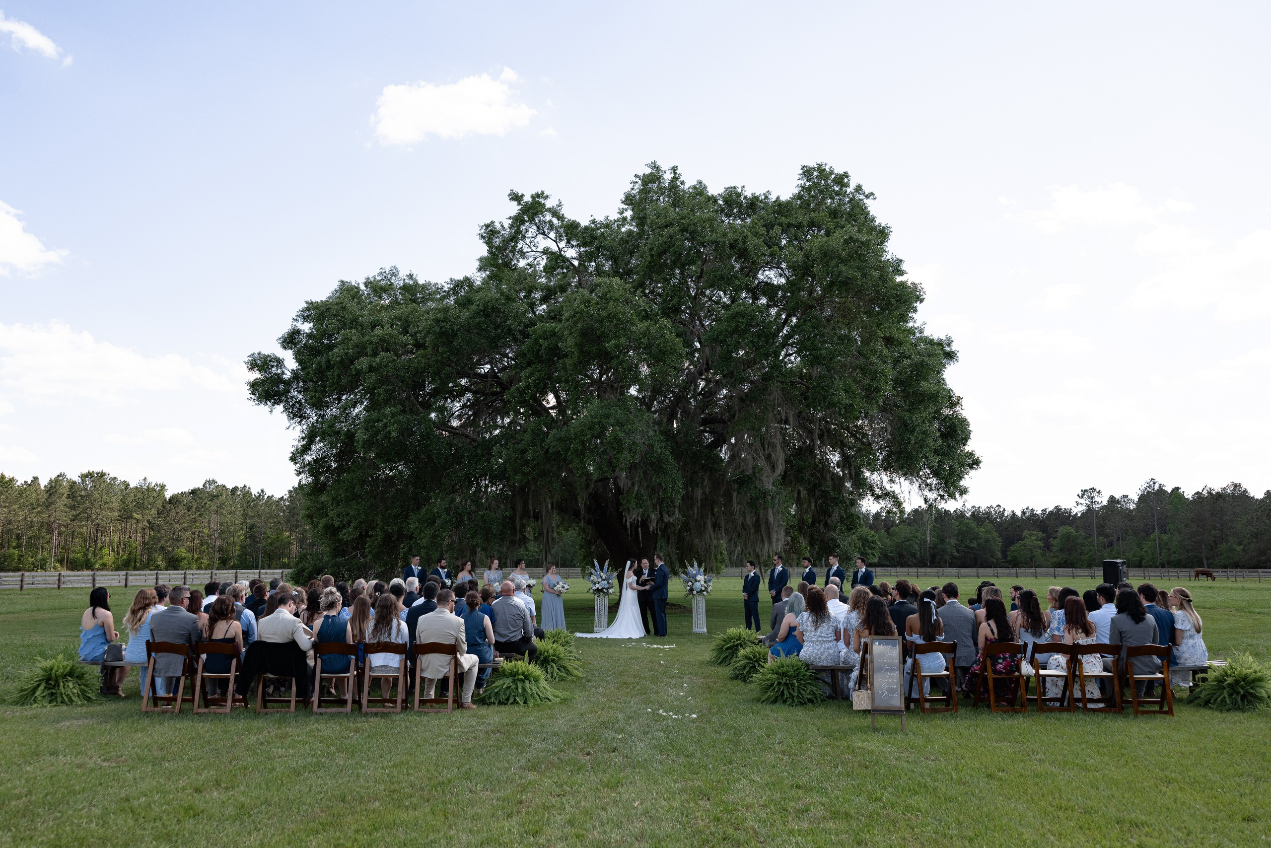 Haley and Will. Photographer Anastasia Nagibina