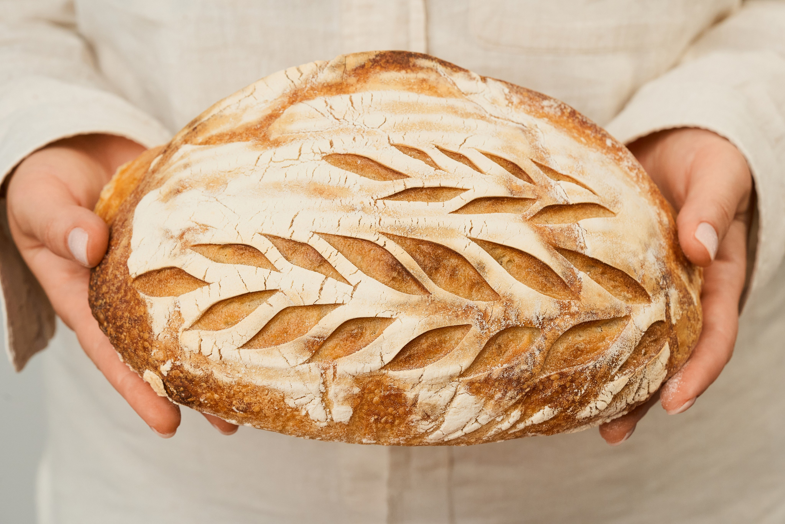 Panni bakery. Фотограф| Кишинев, Молдова