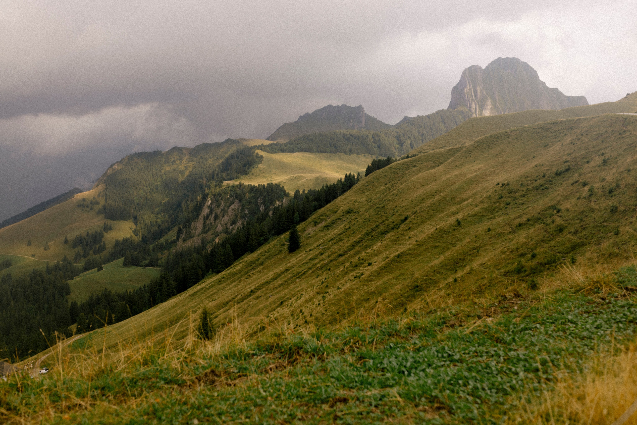 Emily + Casey. Polina Sobol — family & documentary photographer in Bern. Outdoor & urban photo sessions for families, kids and couples