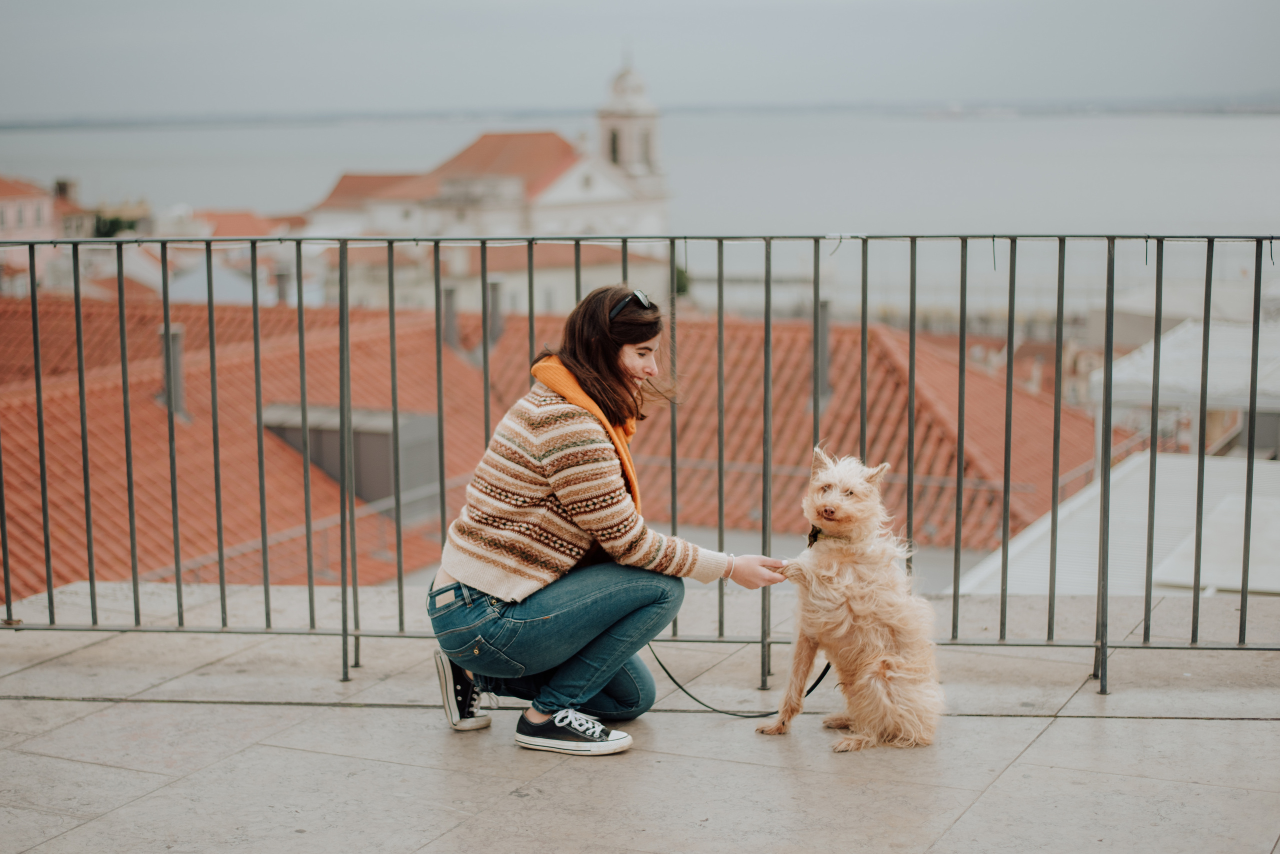 Margarida and Dixii. Lifestyle, wedding and family photographer