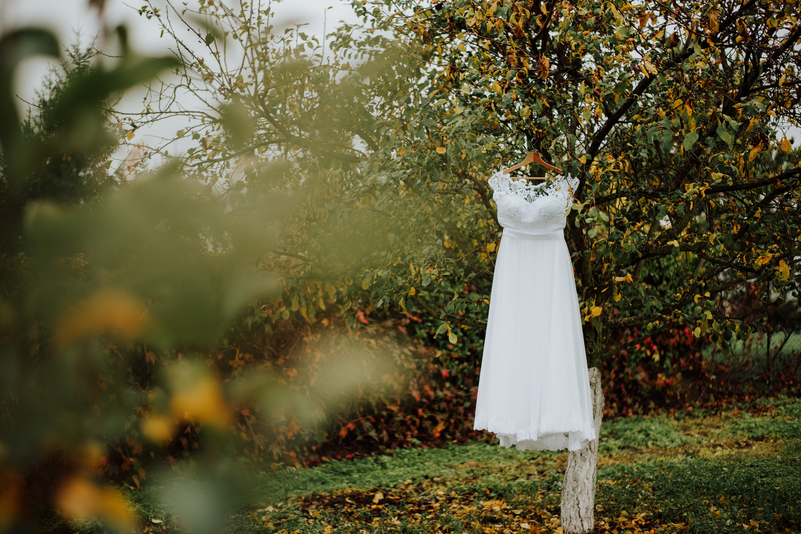 Lifestyle, wedding and family photographer