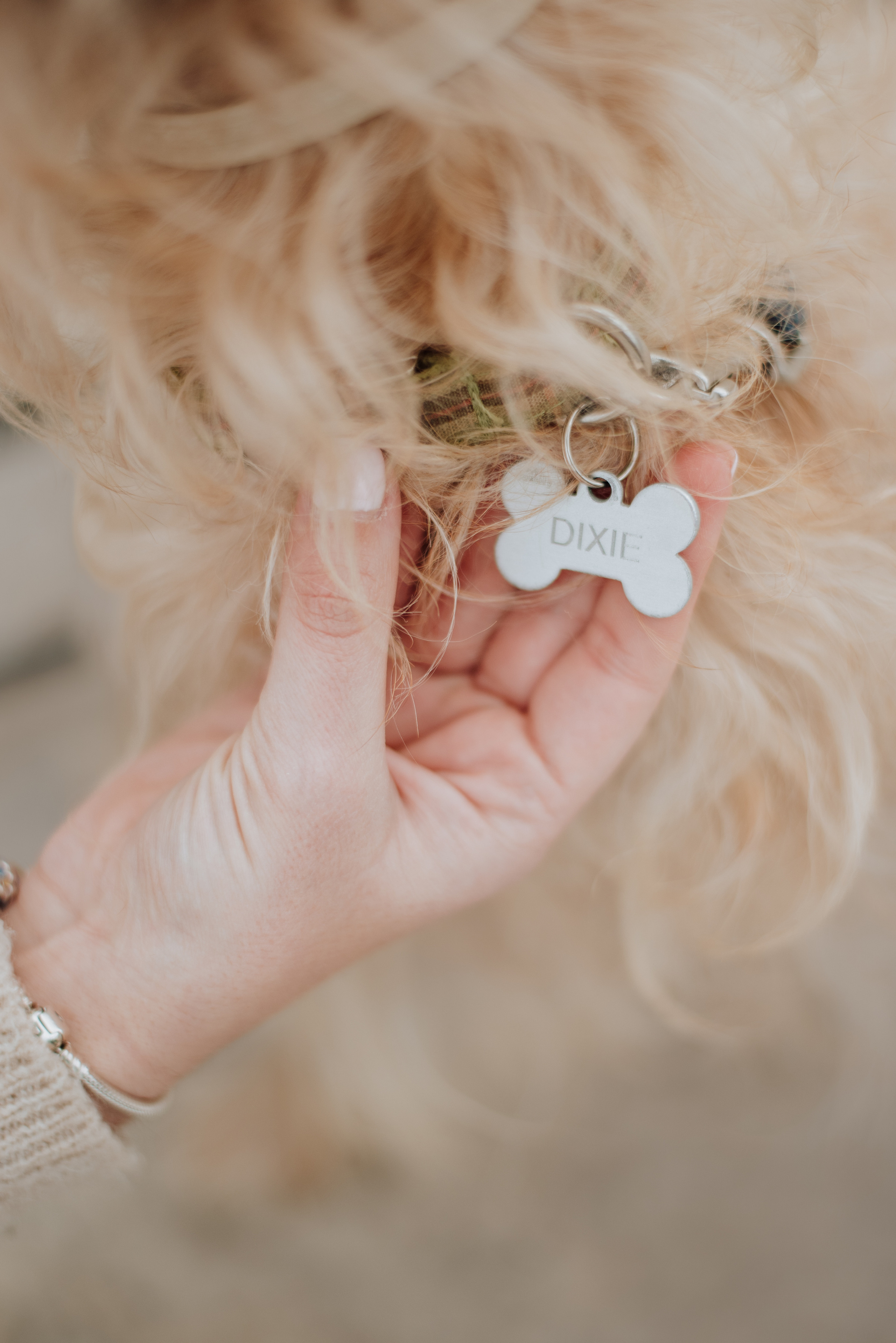 Margarida and Dixii. Lifestyle, wedding and family photographer