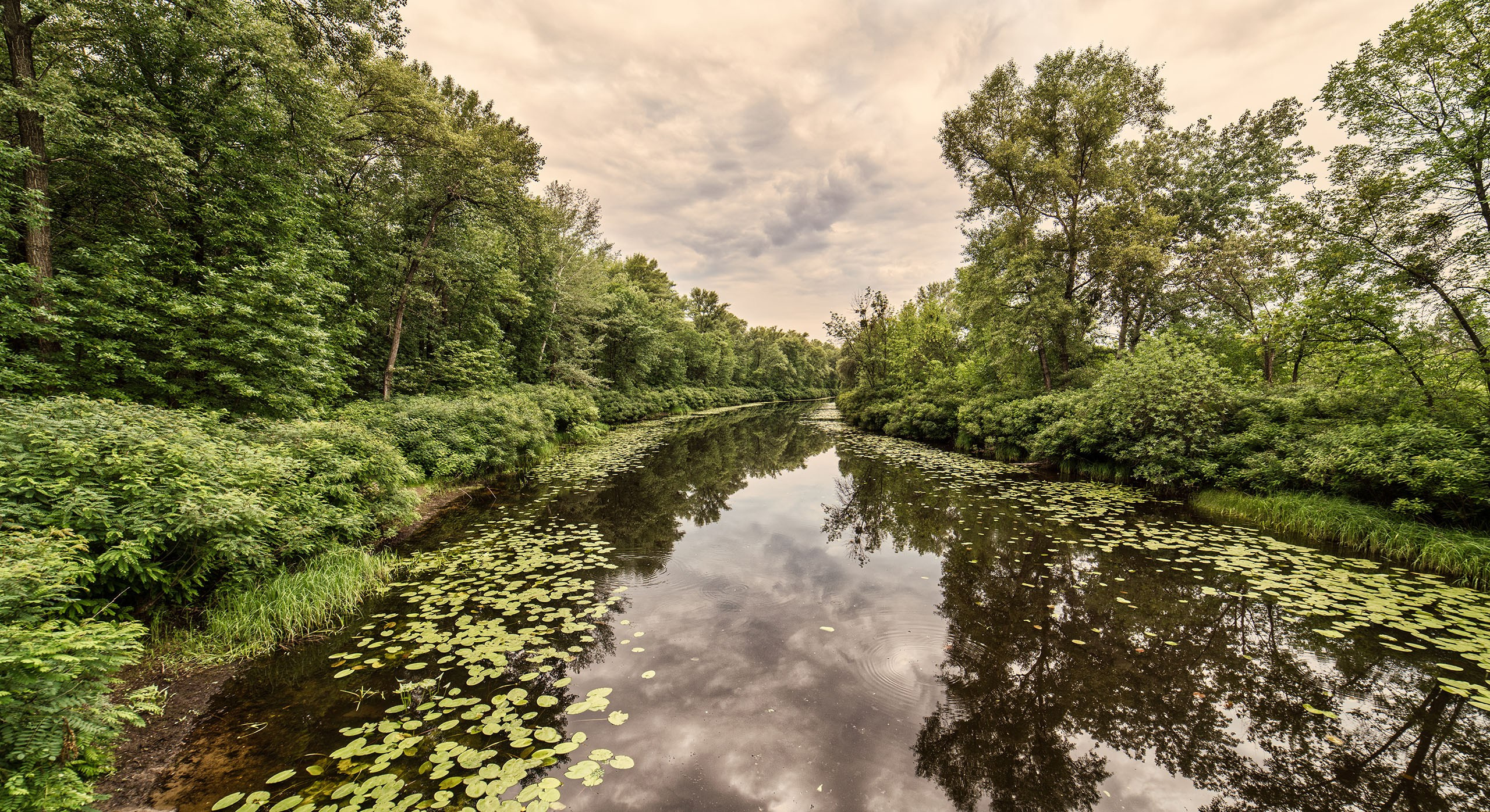 Пейзаж. Фотограф Игорь Баранюк