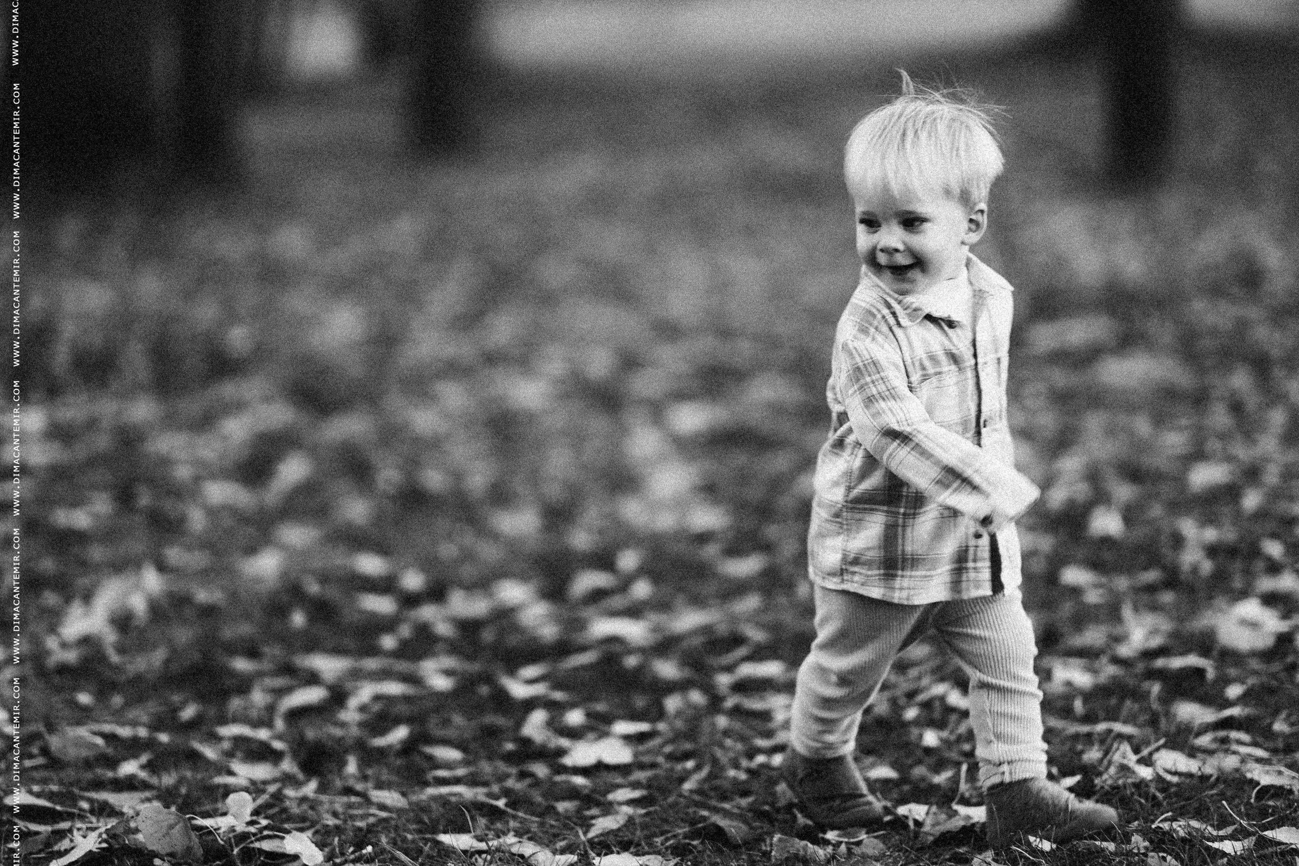 TIMOFEI. Fotograf de nuntă în Chisinau, Moldova. Poze și Video Comerciale