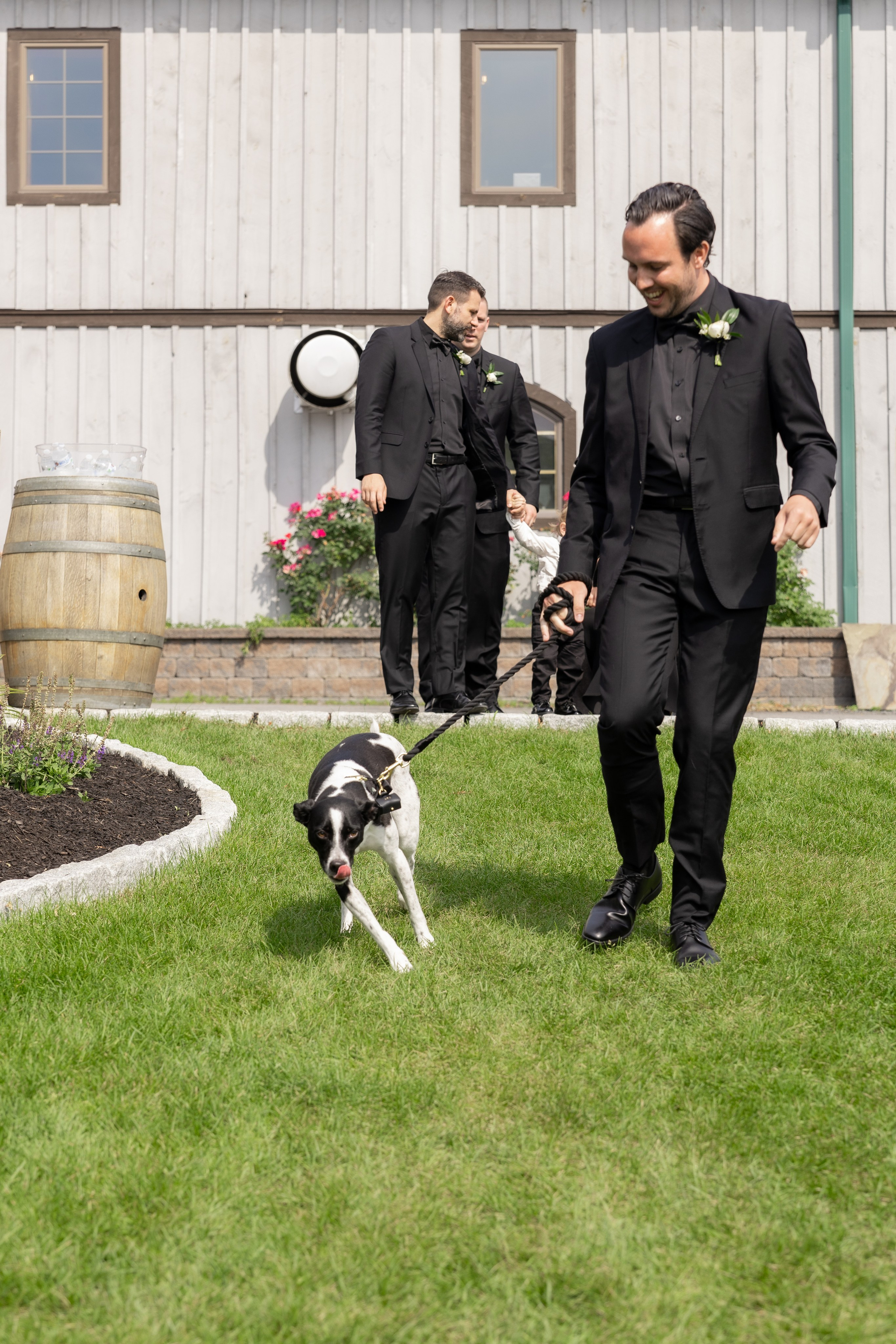 Angelica & Conor. Wedding Photo & Video