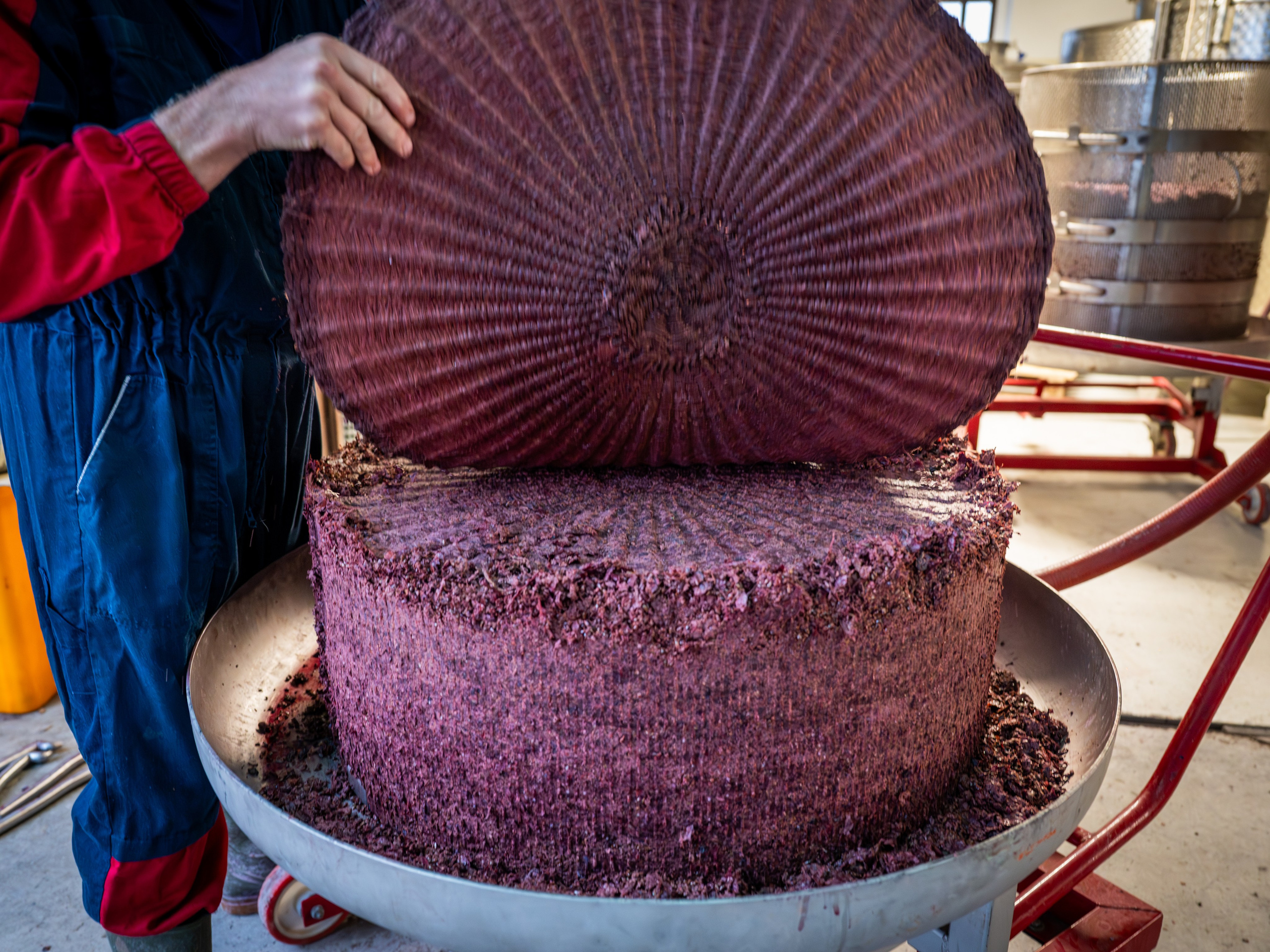 Cantine Boasso Serralunga. “Gianmaria Coscia fotografo per passione”