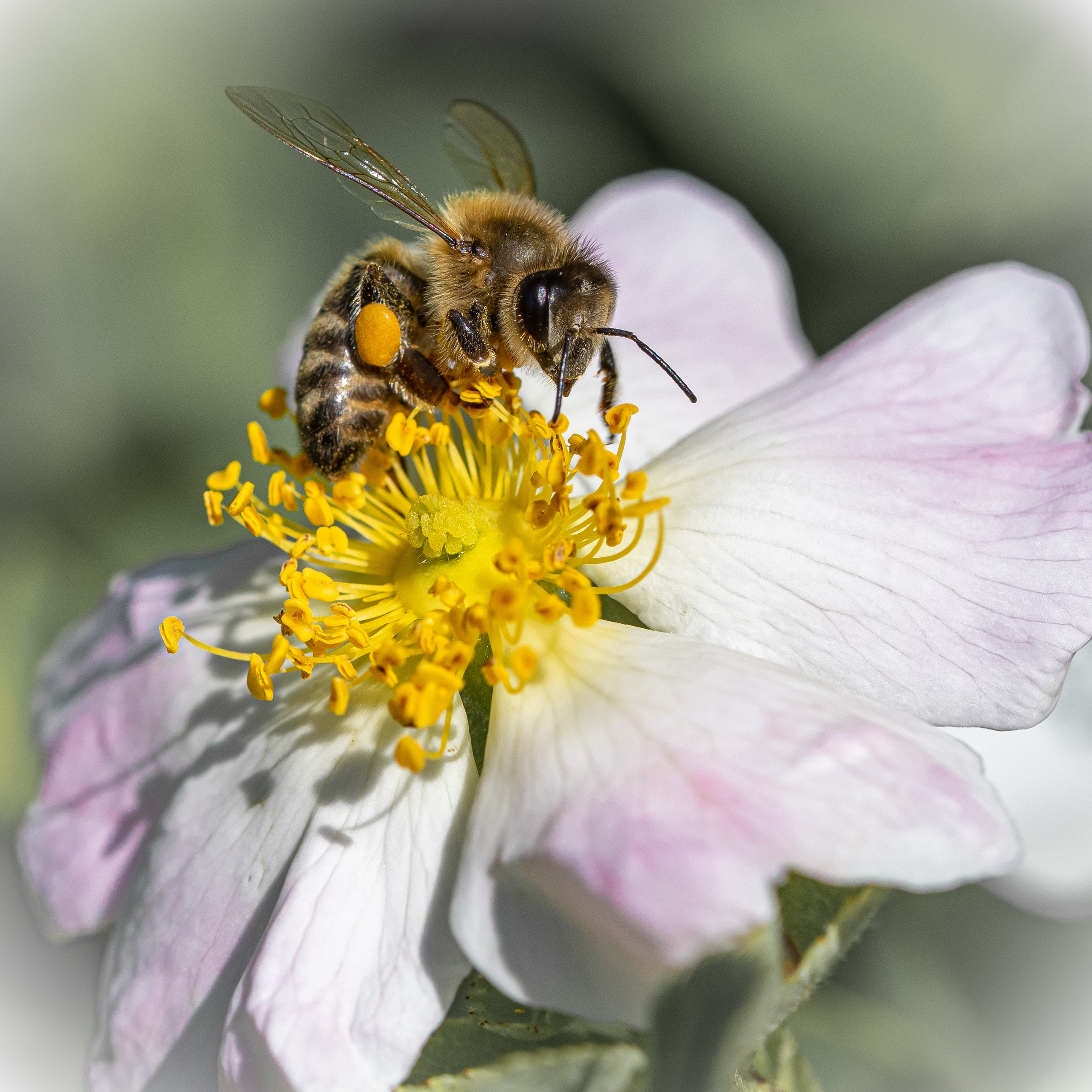“Gianmaria Coscia fotografo per passione”