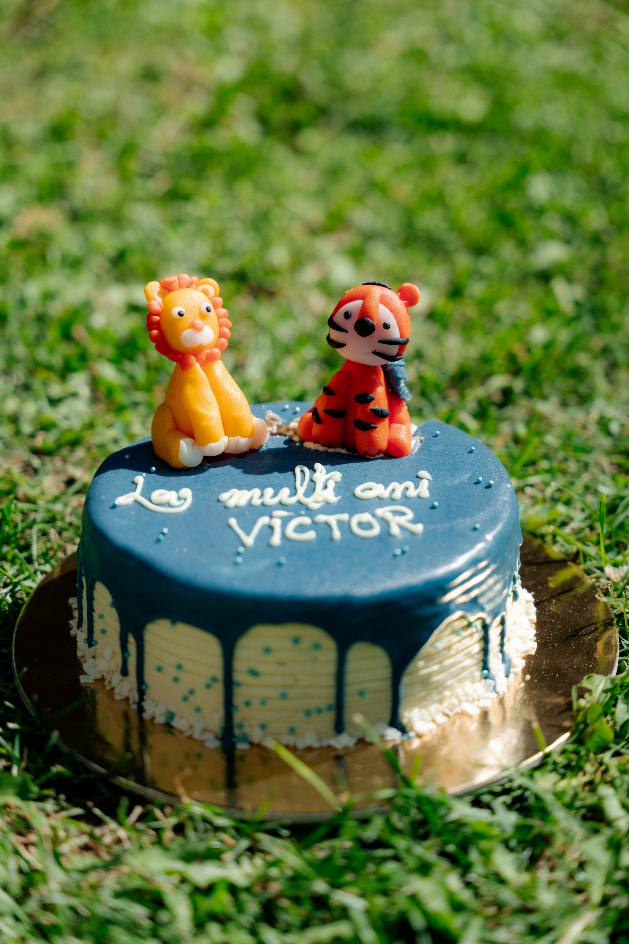 Victor Ioan. Dragosbaciuartphotographer