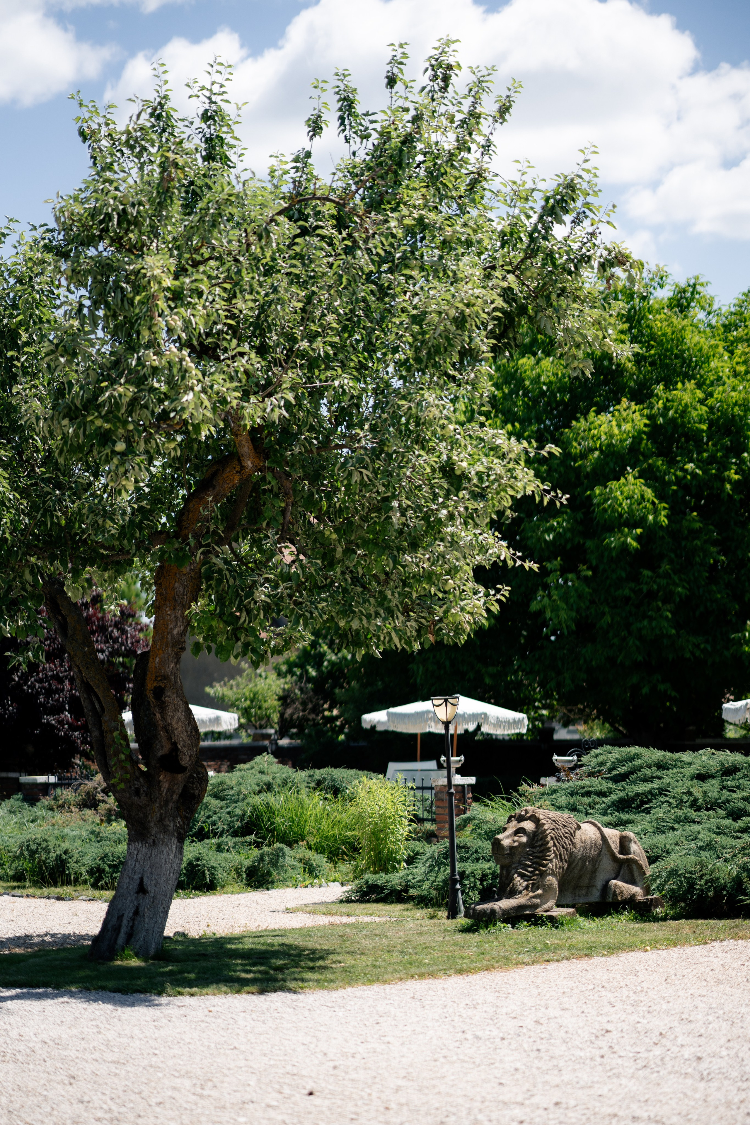 Octavia & Theo. Destination Wedding Photographer Alex Pasarelu