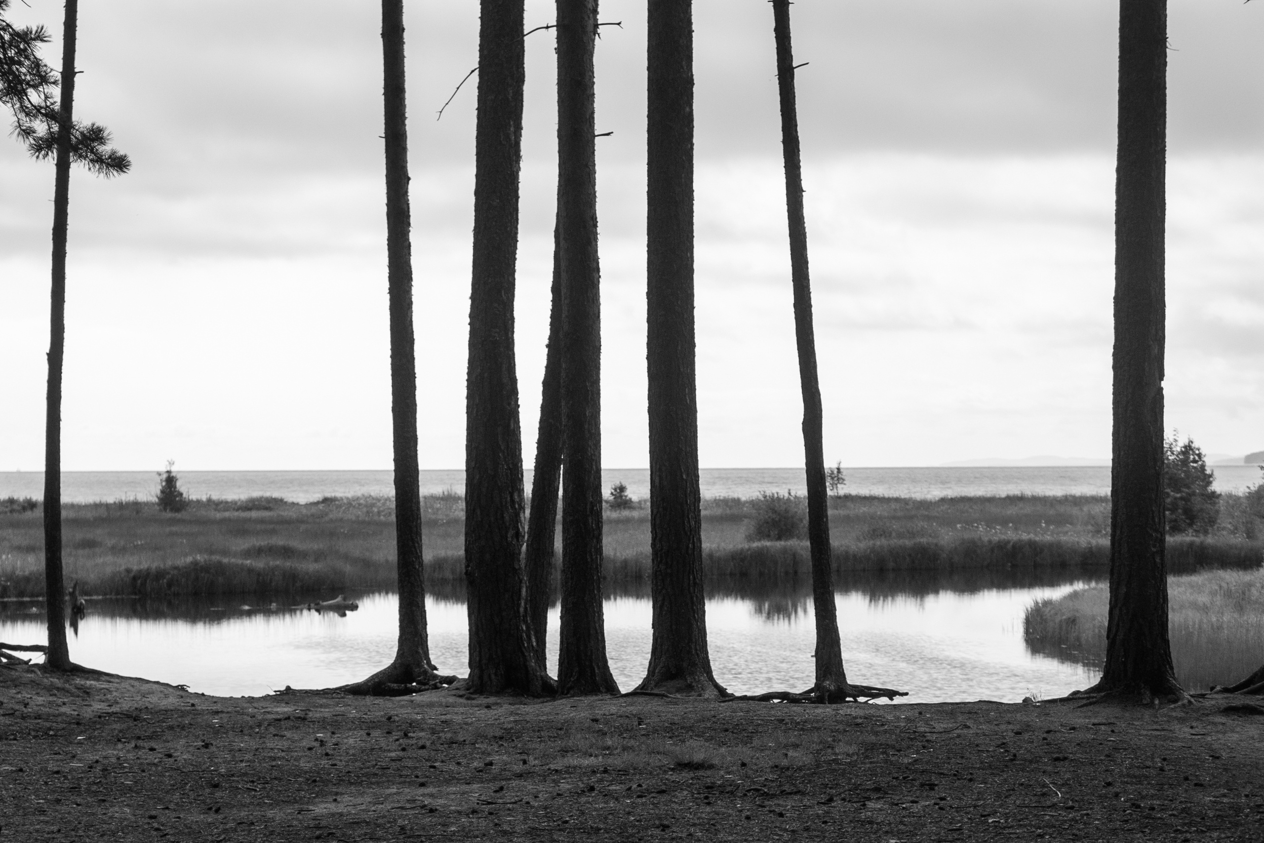 Арт-проект "Прощание/Прощение" памяти отца. Фотограф Анна Резников