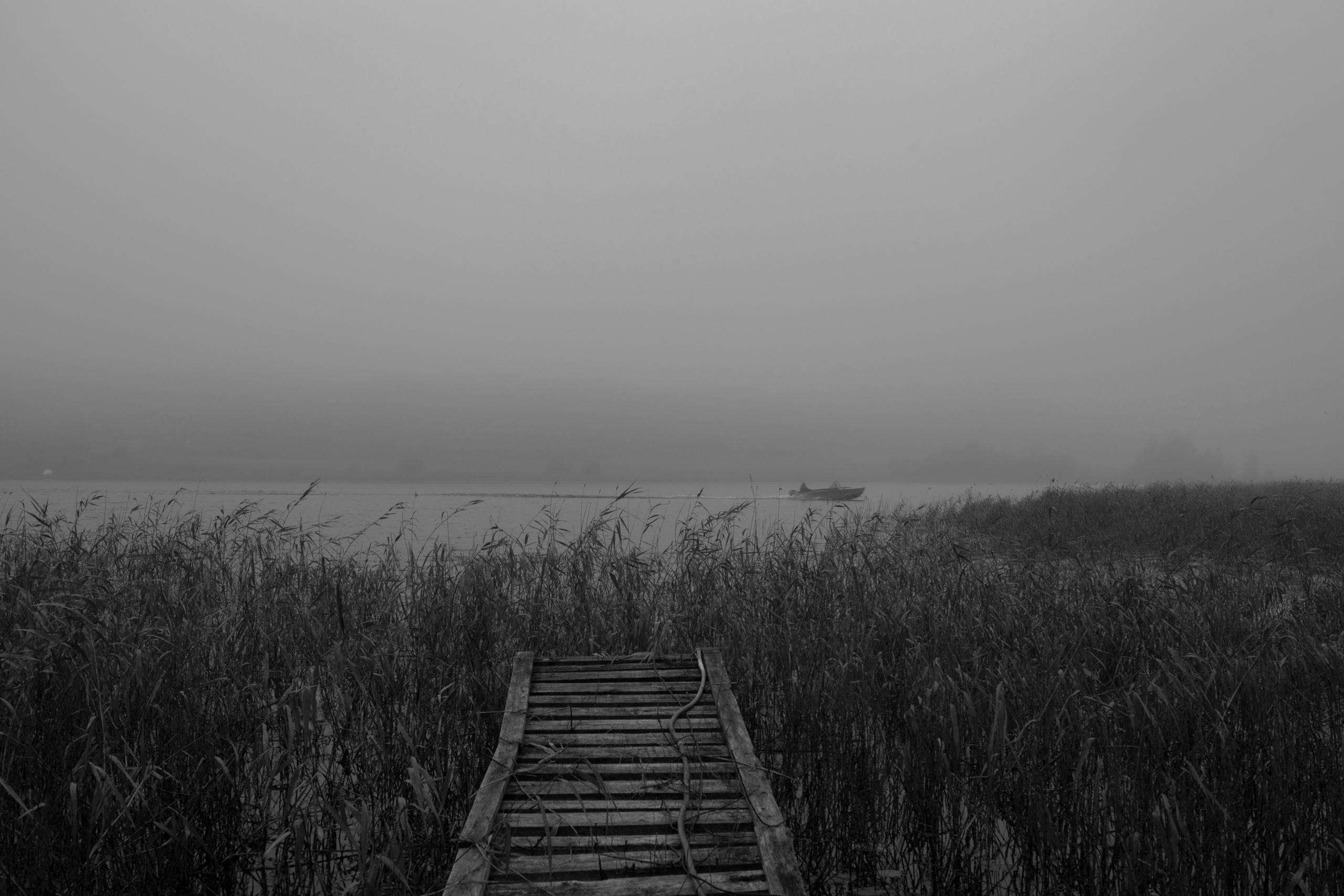 Арт-проект "Прощание/Прощение" памяти отца. Фотограф Анна Резников