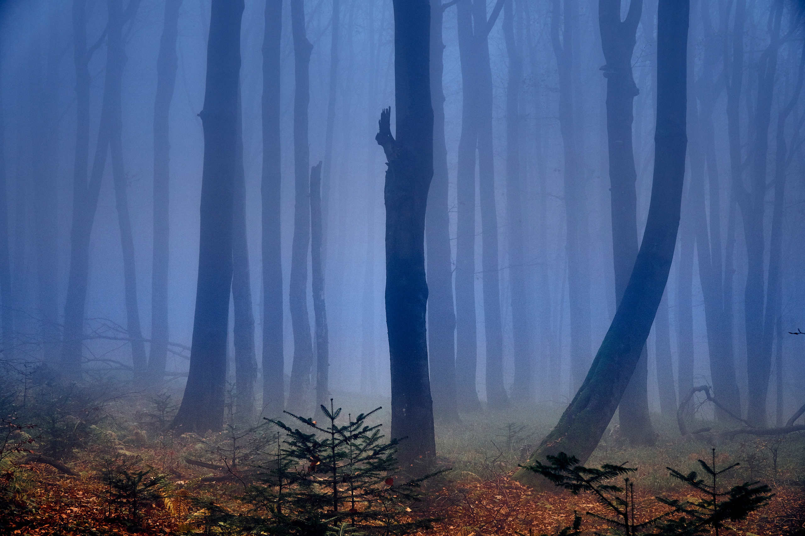 Бещады — здесь остановилось время. Андрей Шипилов — Фотография & Видеография