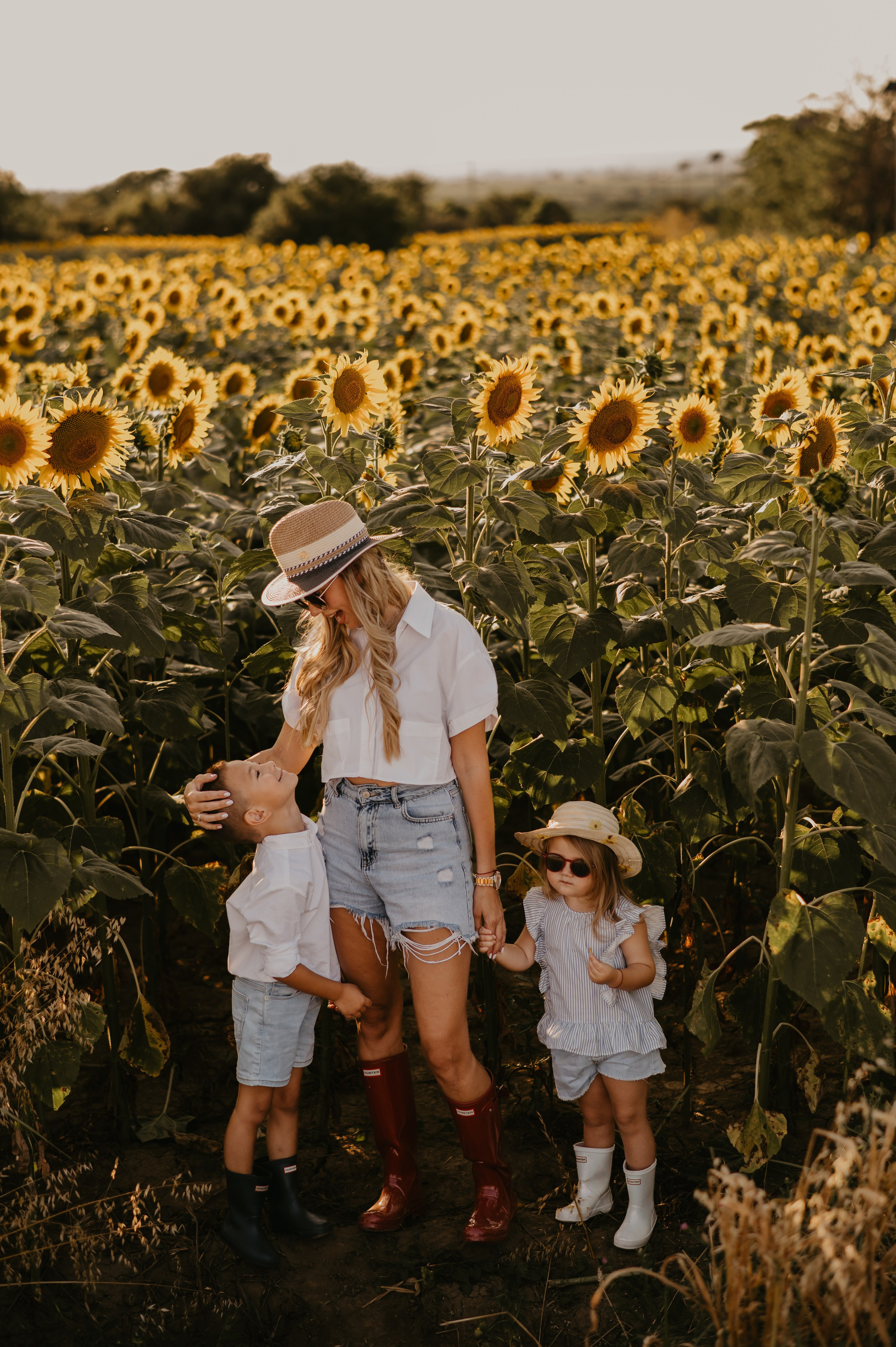 Polje suncokreta. Ana Sladojevic