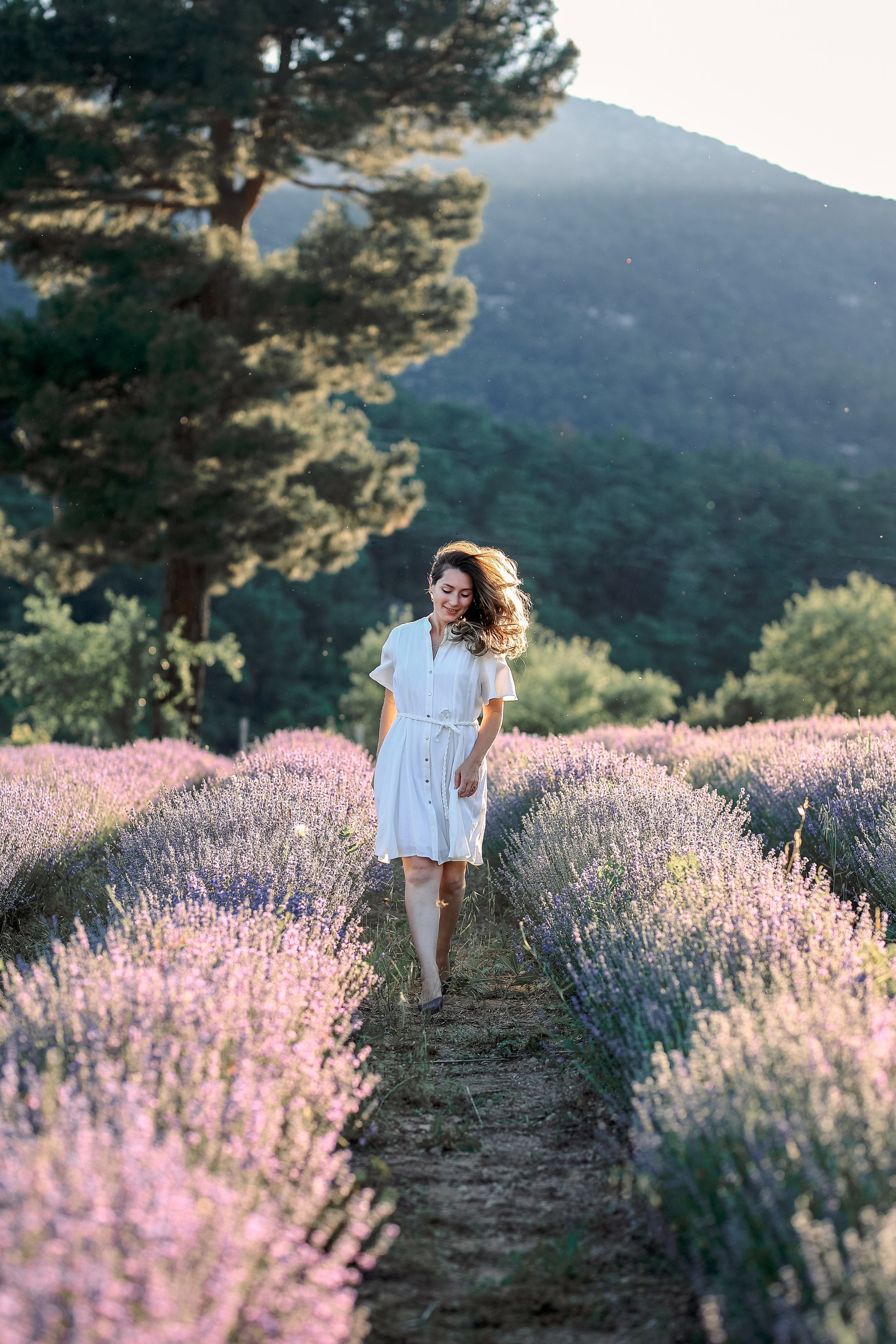 Lavender in Antalya. Photographer in Turkey, Antalya, Kemer, Belek, Side, Kas, Fethiye