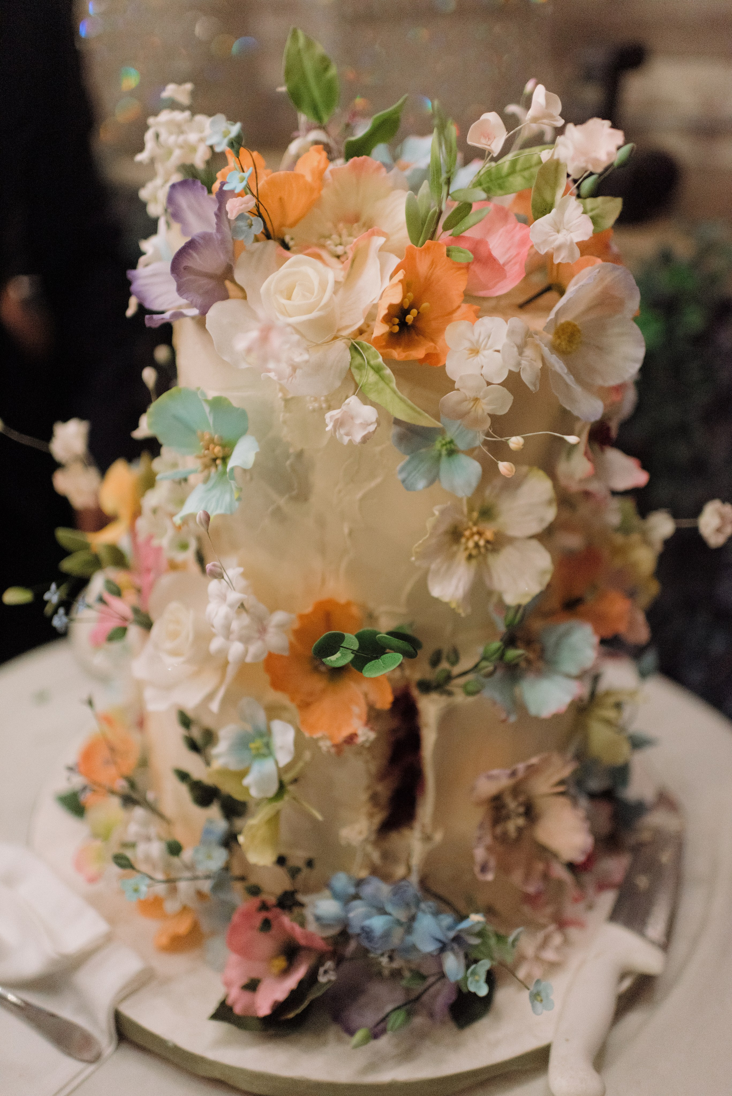 M|A. Maanukki photographer