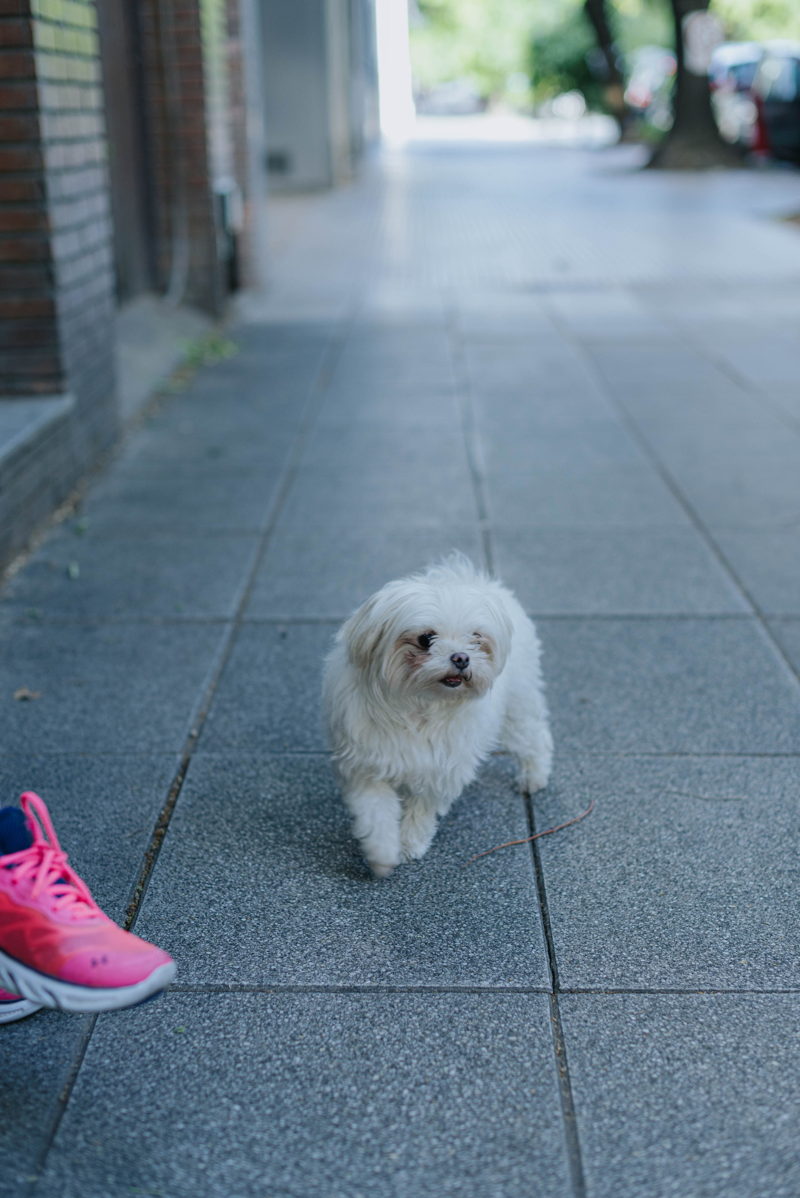 Docdocdoc. 15 strangers. Photographer @elmirkami in the city of Buenos Aires
