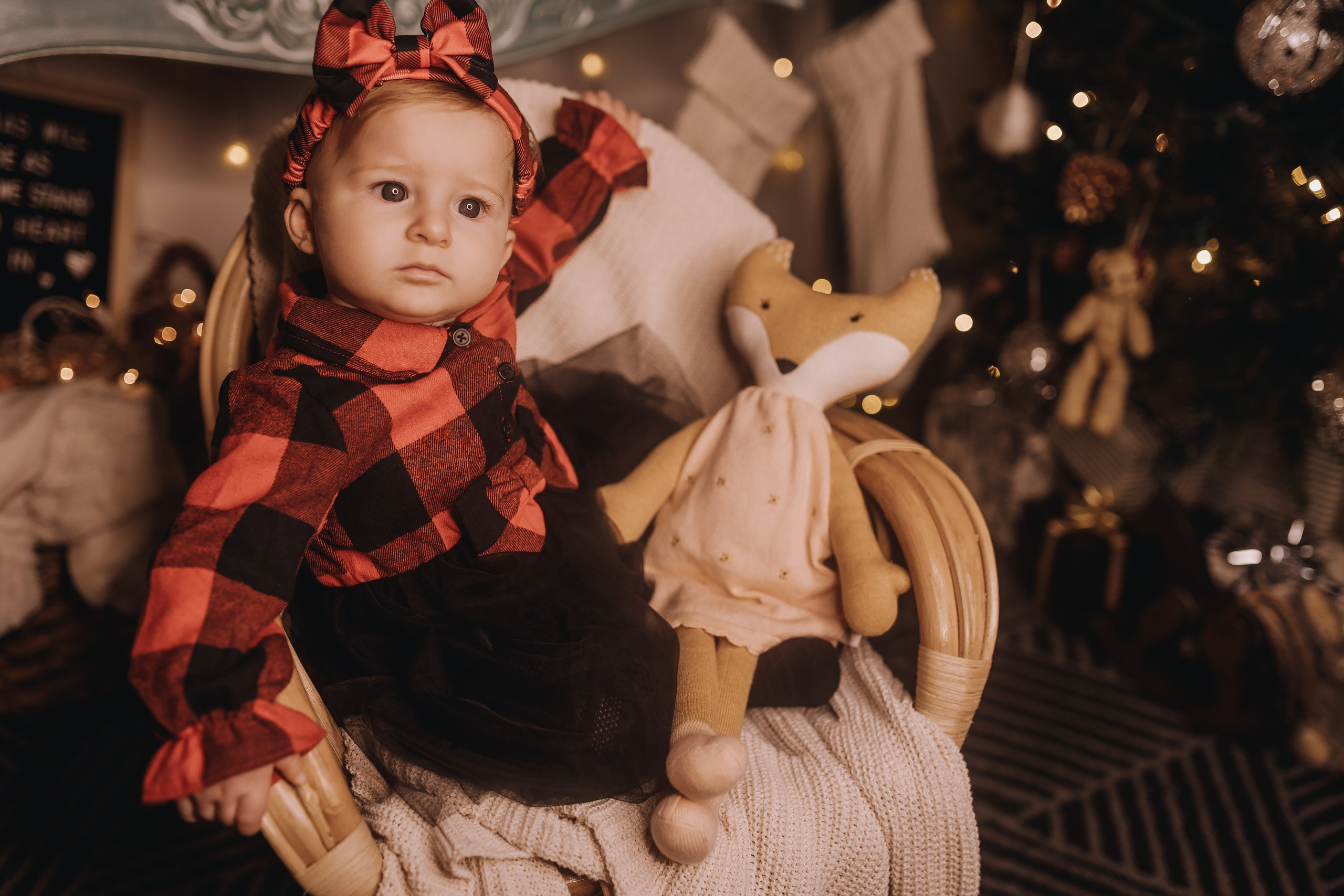 25.11.2023 Christmas Photoshoot 1. Wedding family event photographer in Chicago Nick Yushevich