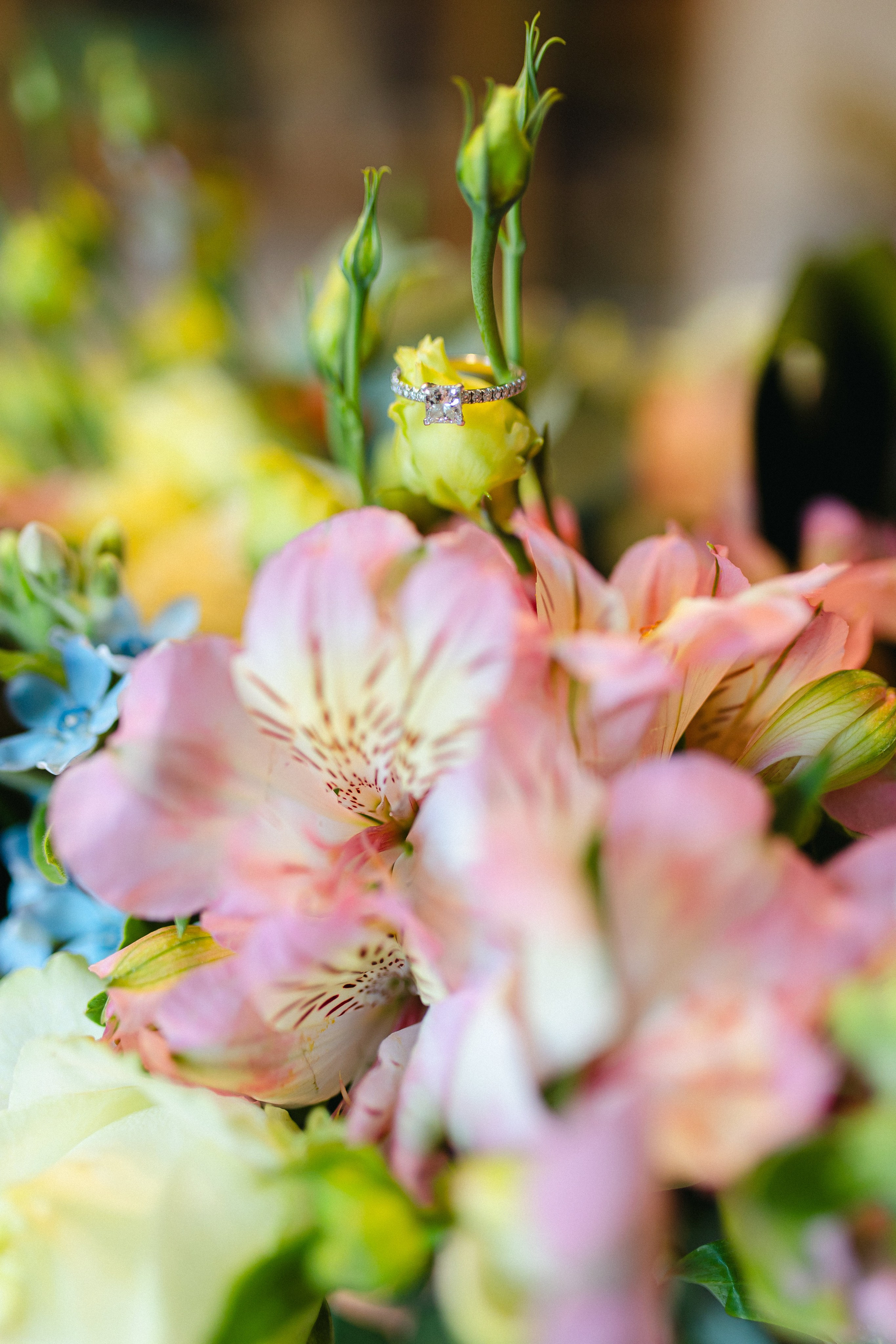 With All My Heart. Https://shi-photo.com/