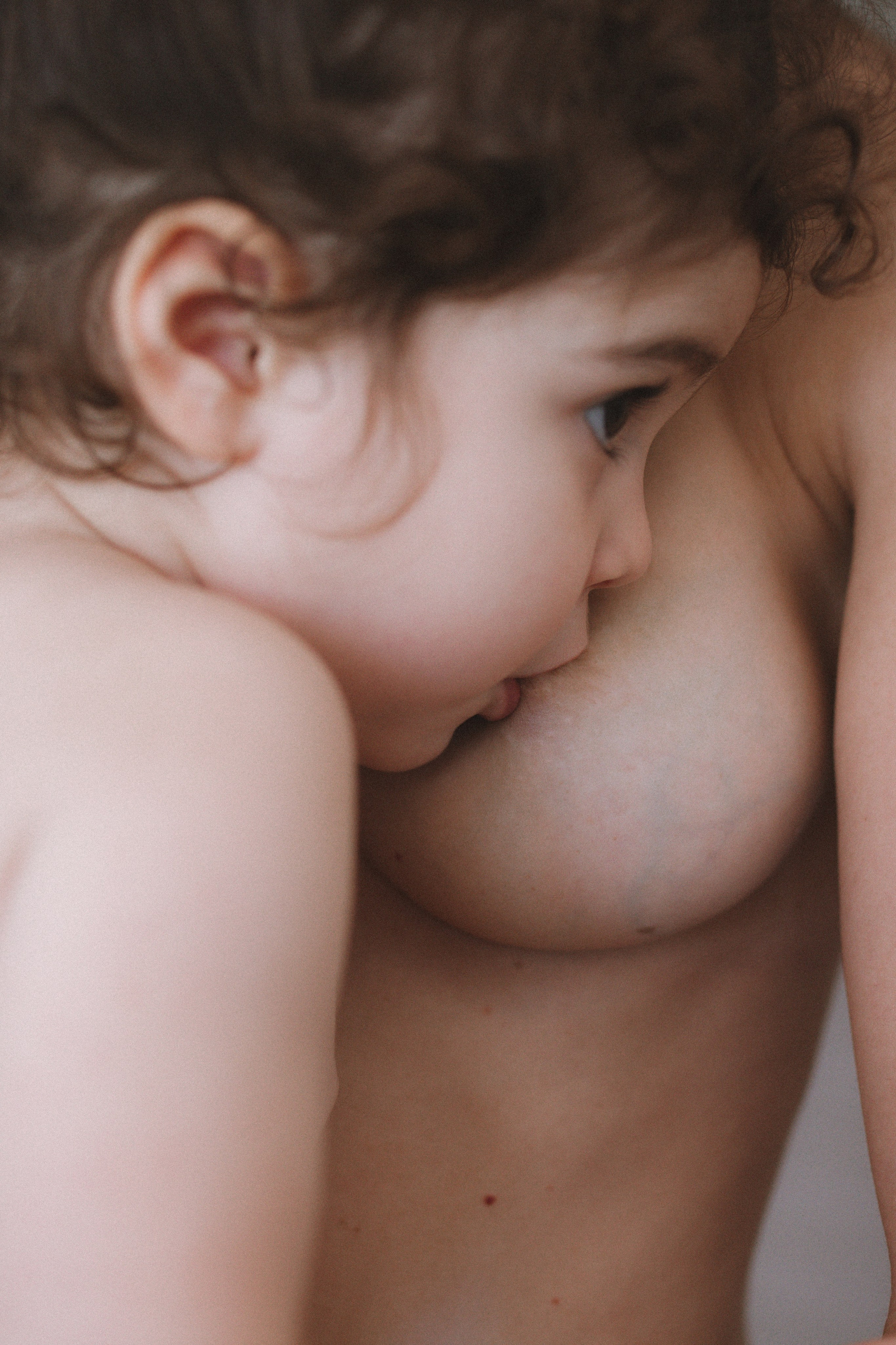 Portfolio. Sara Aires - Fotógrafa