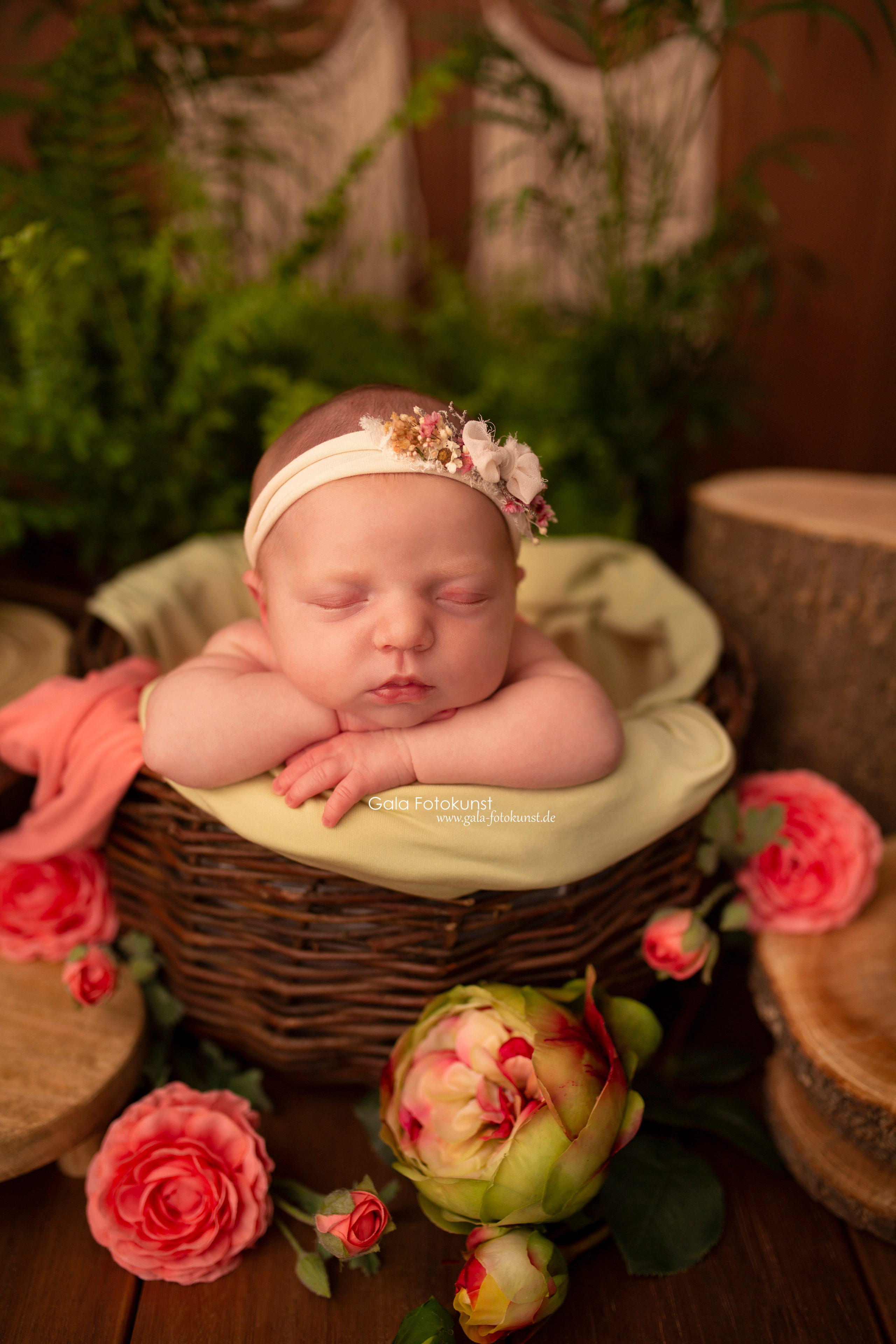 Neugeborene. Neugeborenen, Familien, Geschwister Fotografin aus Delmenhorst