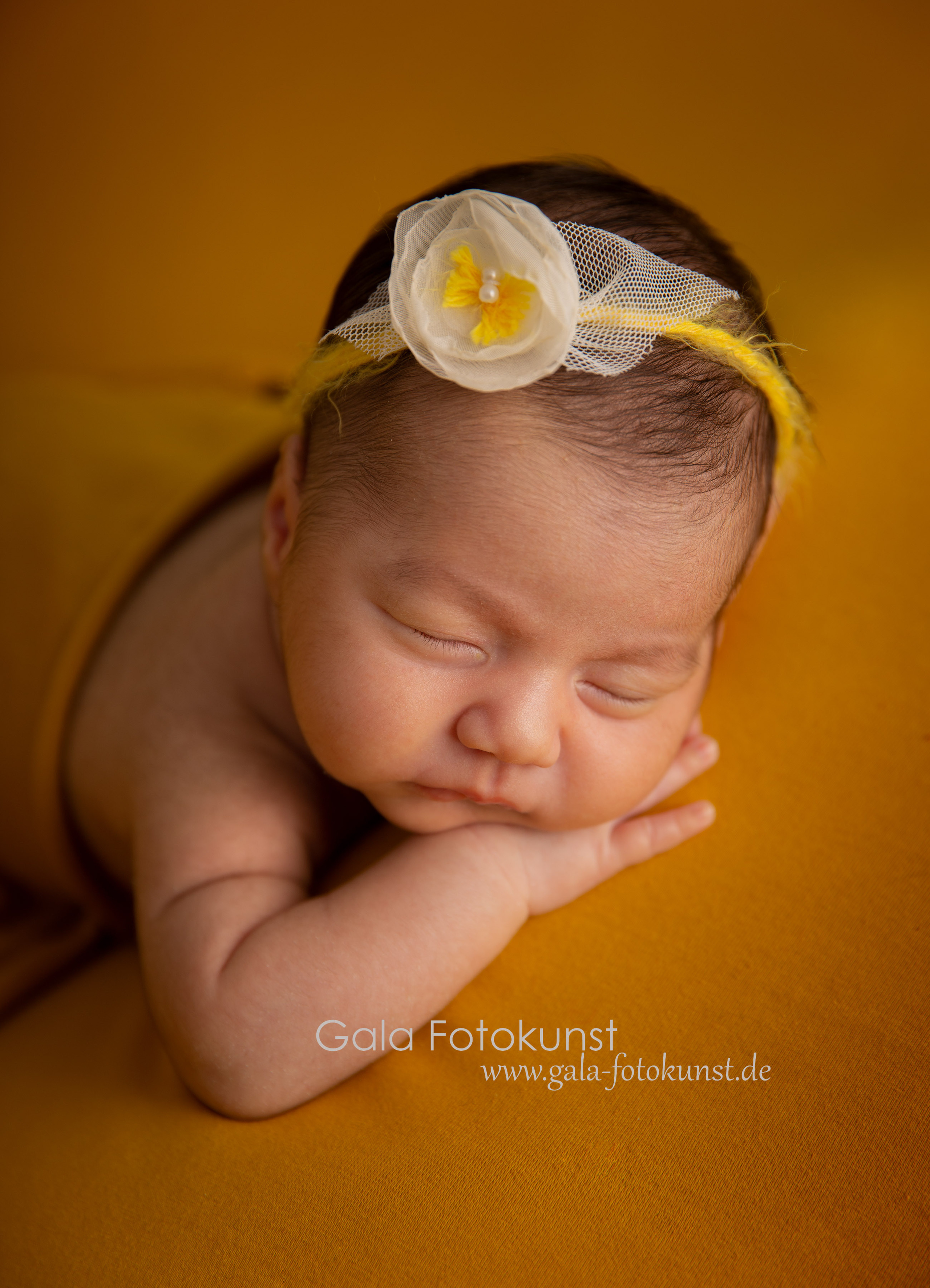 Neugeborene. Neugeborenen, Familien, Geschwister Fotografin aus Delmenhorst