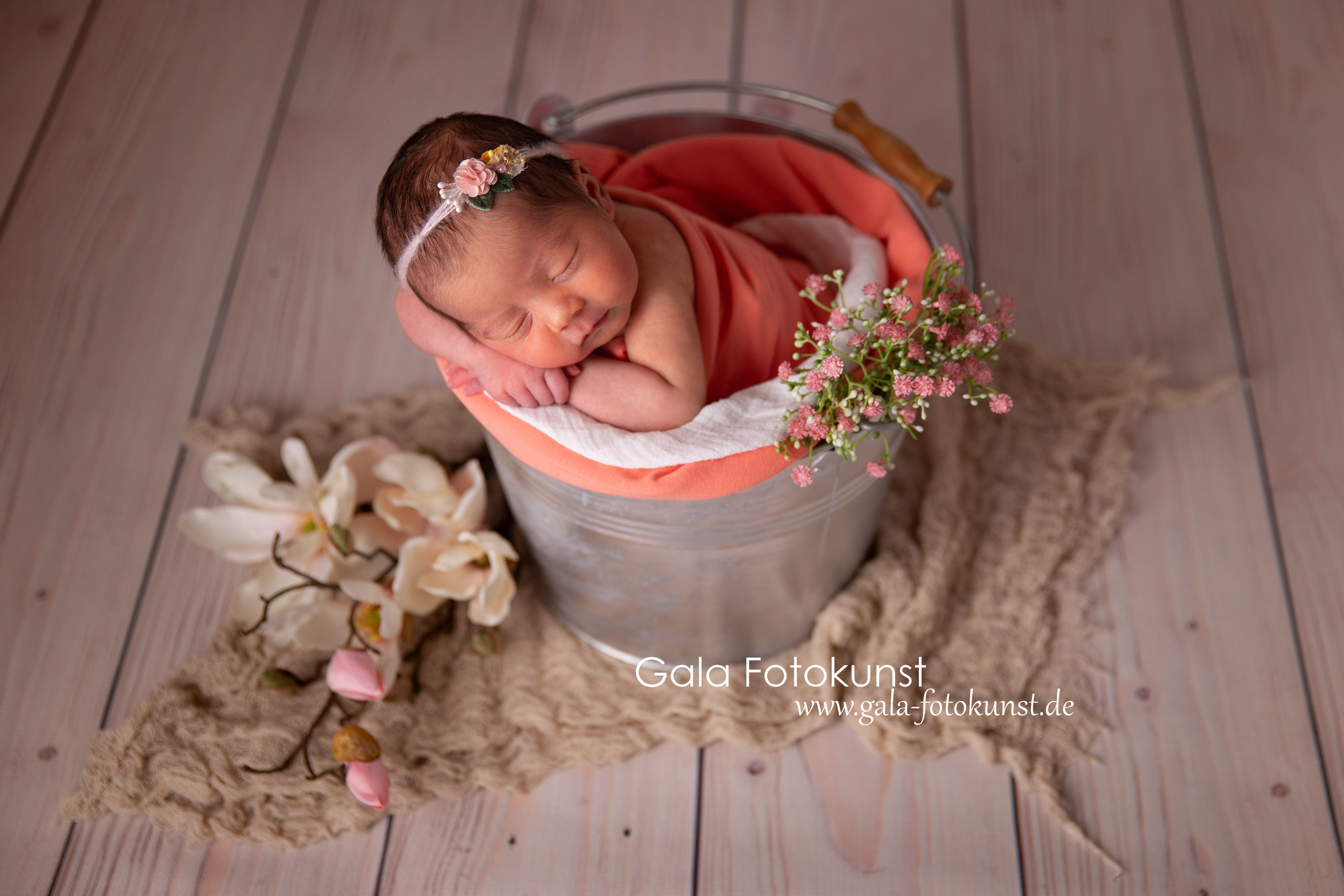 Neugeborene. Neugeborenen, Familien, Geschwister Fotografin aus Delmenhorst