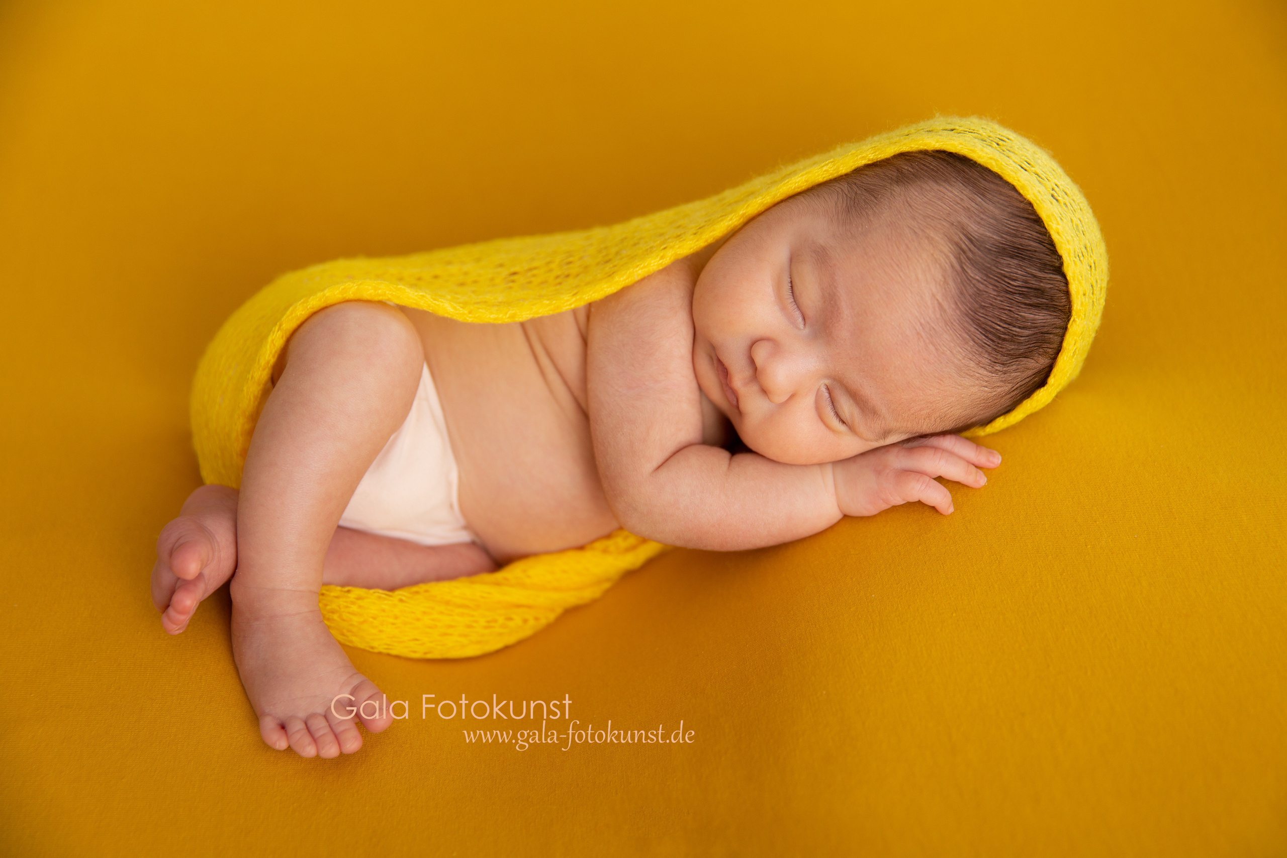 Neugeborene. Neugeborenen, Familien, Geschwister Fotografin aus Delmenhorst