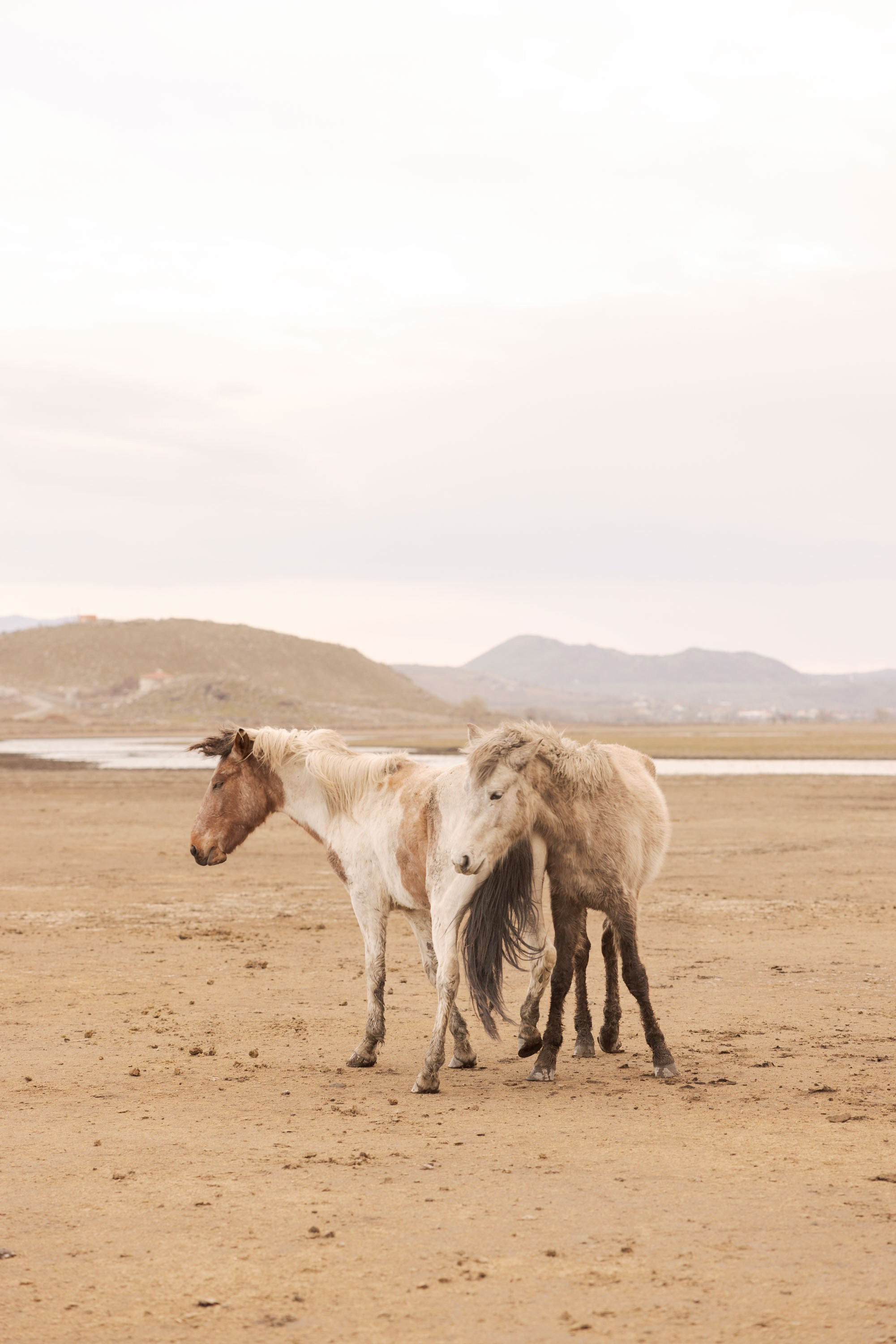 Hansika & Tanvir. Julia Ganch I Fashion Wedding Photography I Cappadocia Turkey