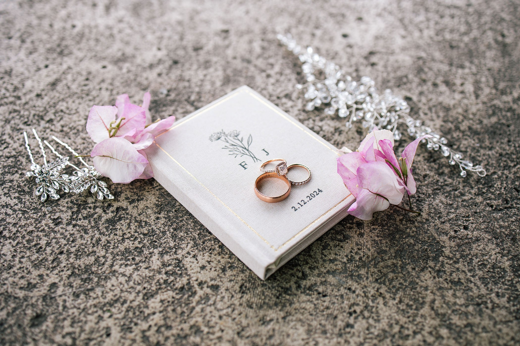 Preparativos /Getting Ready. Principal